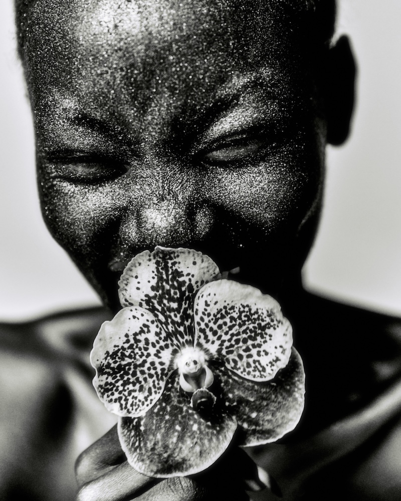 MAISON SHANGRILA, 2024