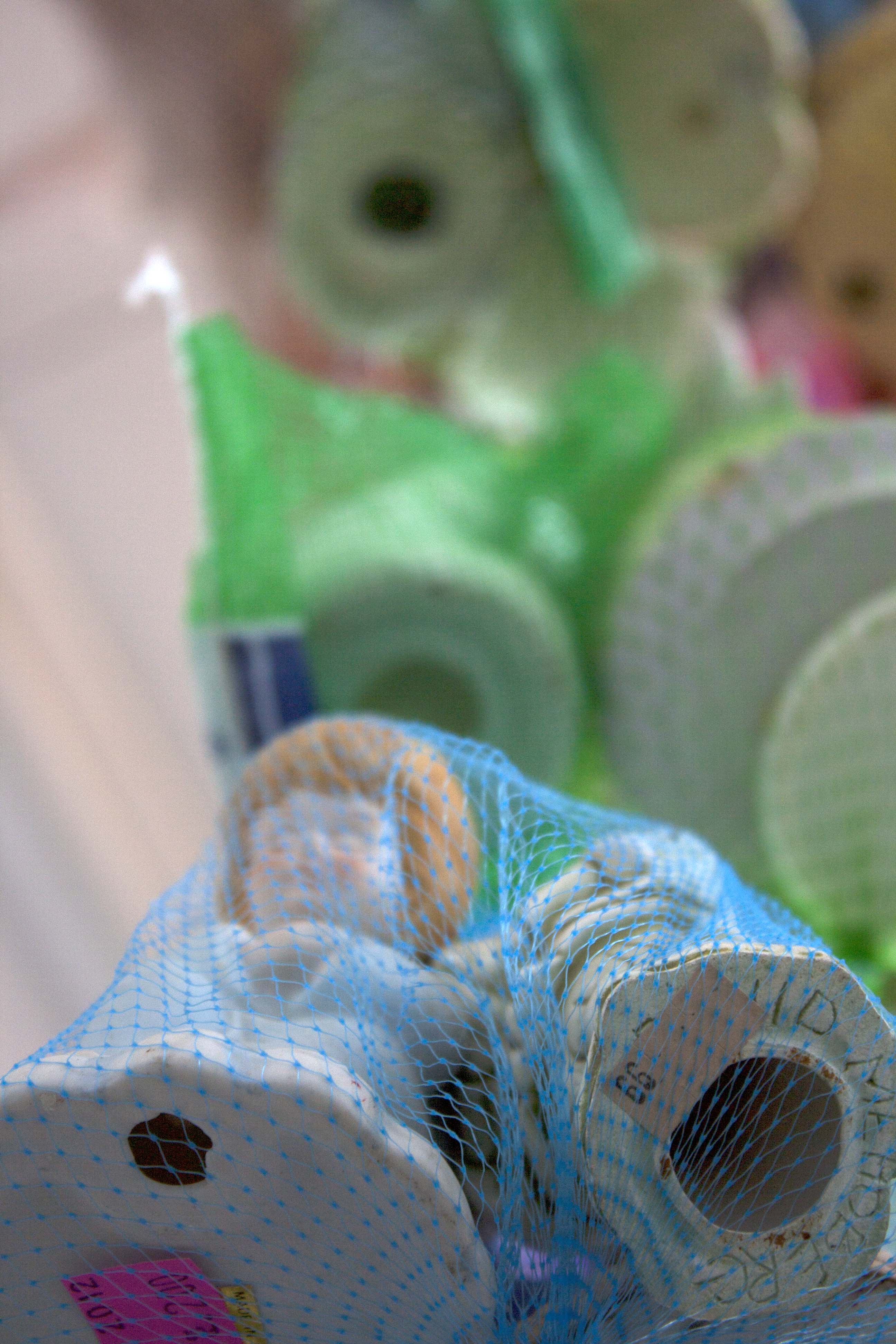 Drop Your Nets, 2013