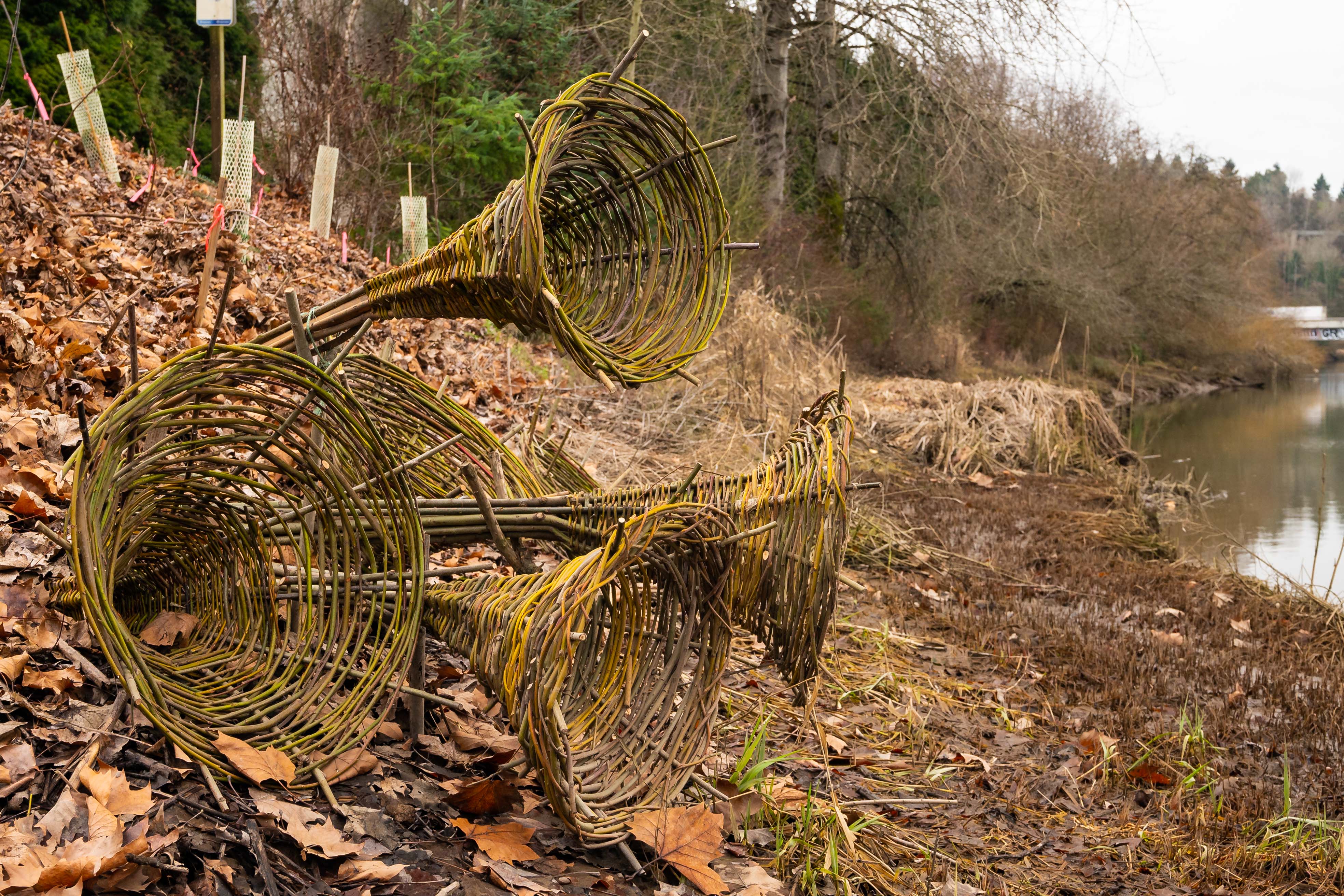 King Tide Orchestra, 2022