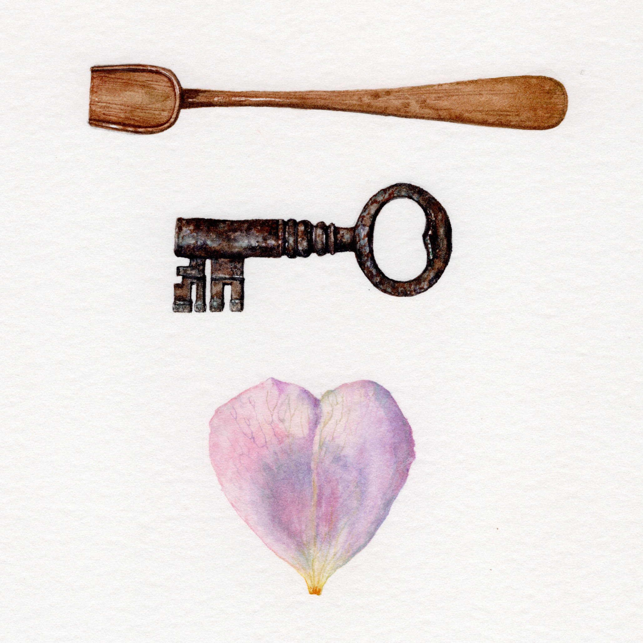 Beautiful and useful 1 with antique wood spoon and rose petal