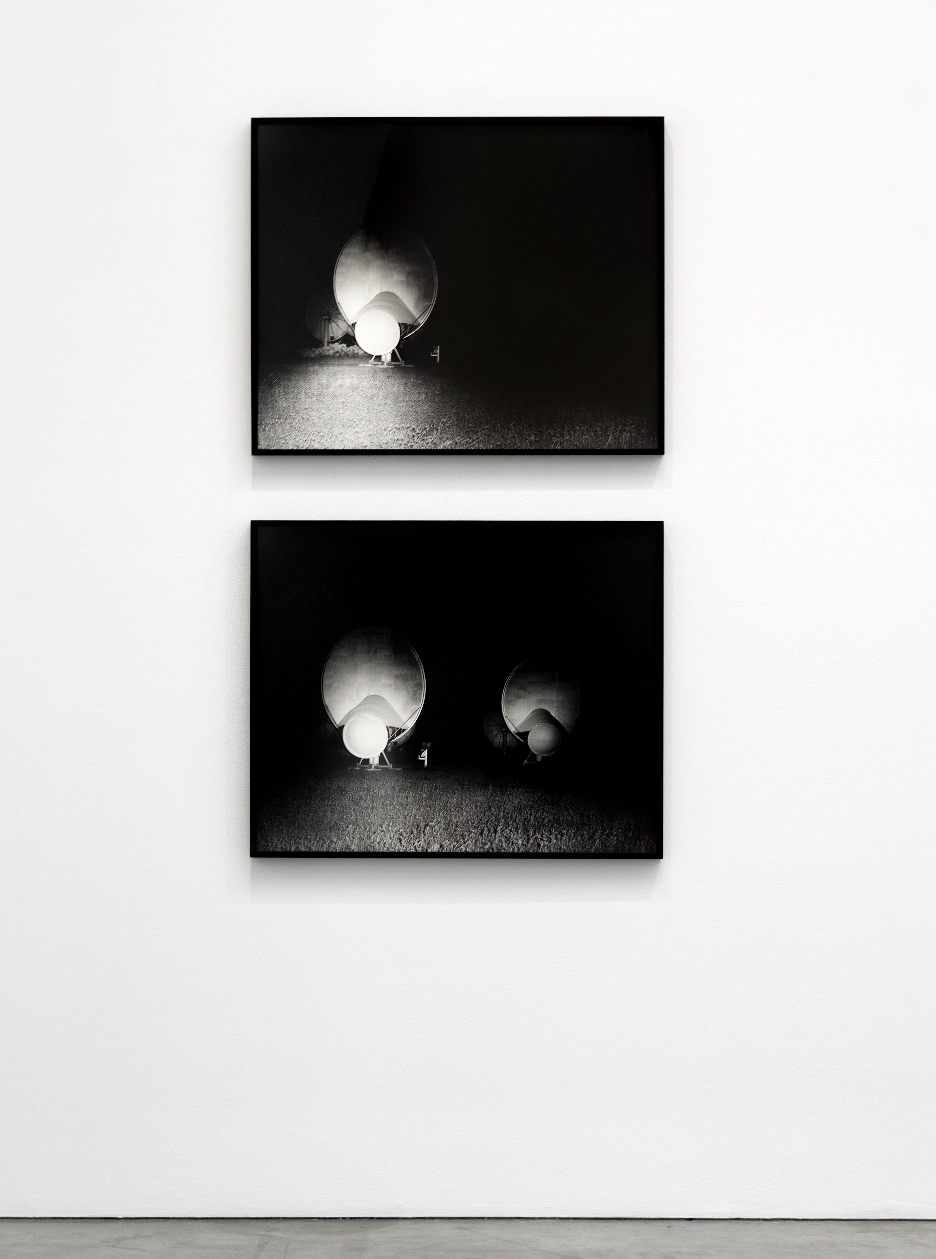Field 1 and Field 2, Luhring Augustine installation view, 2024