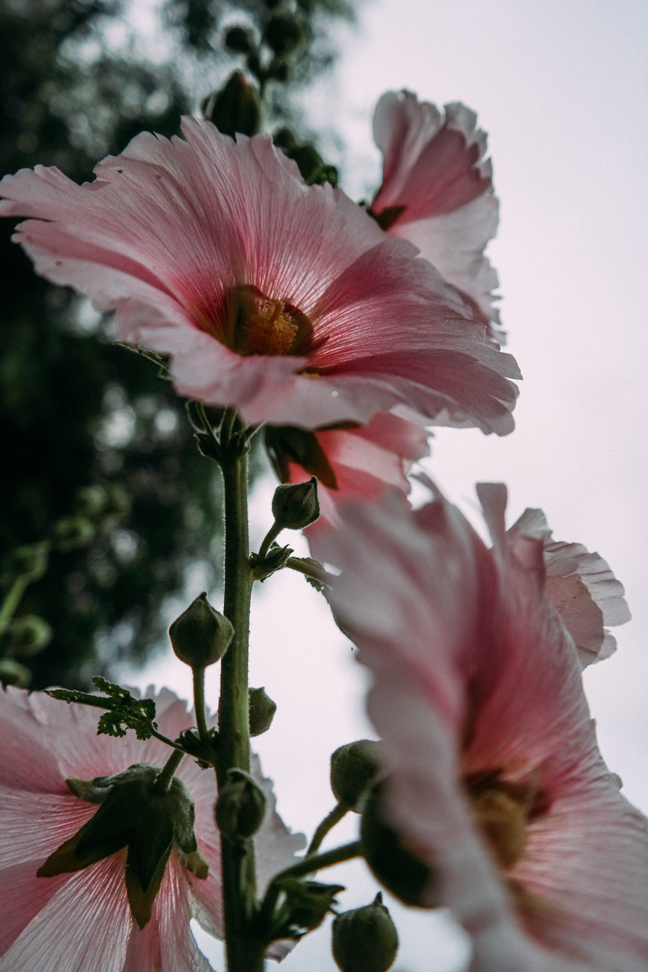 09
