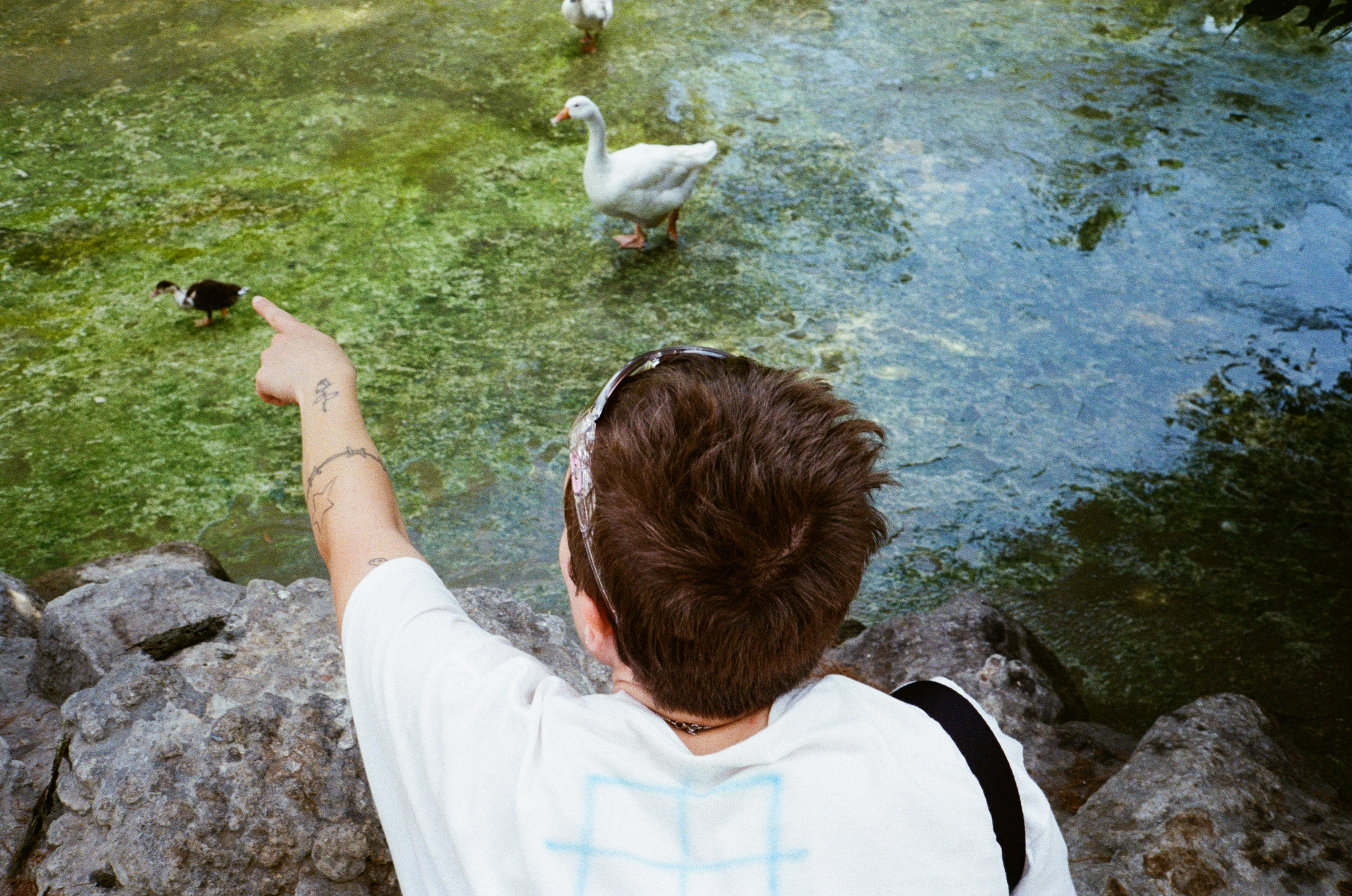 Maggy and the Ducks, Athens