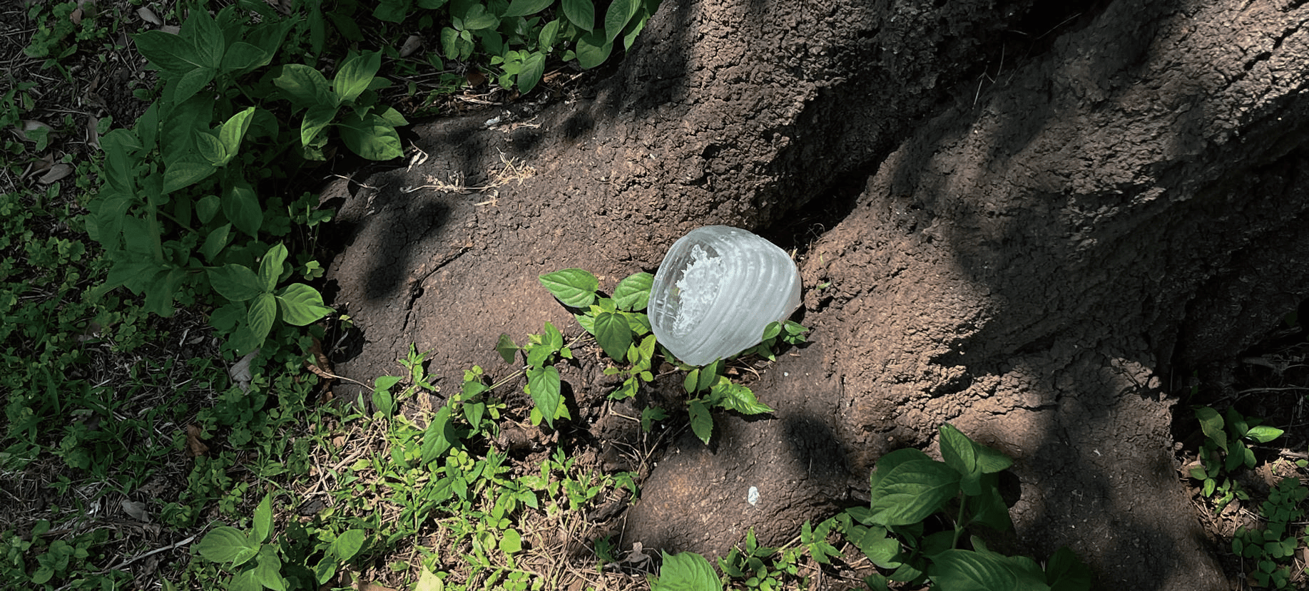 Acoustic space / 2022