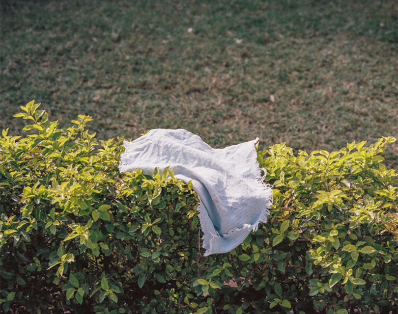 BOOK REVIEWOn Saleem Ahmed’s “Rani Road”