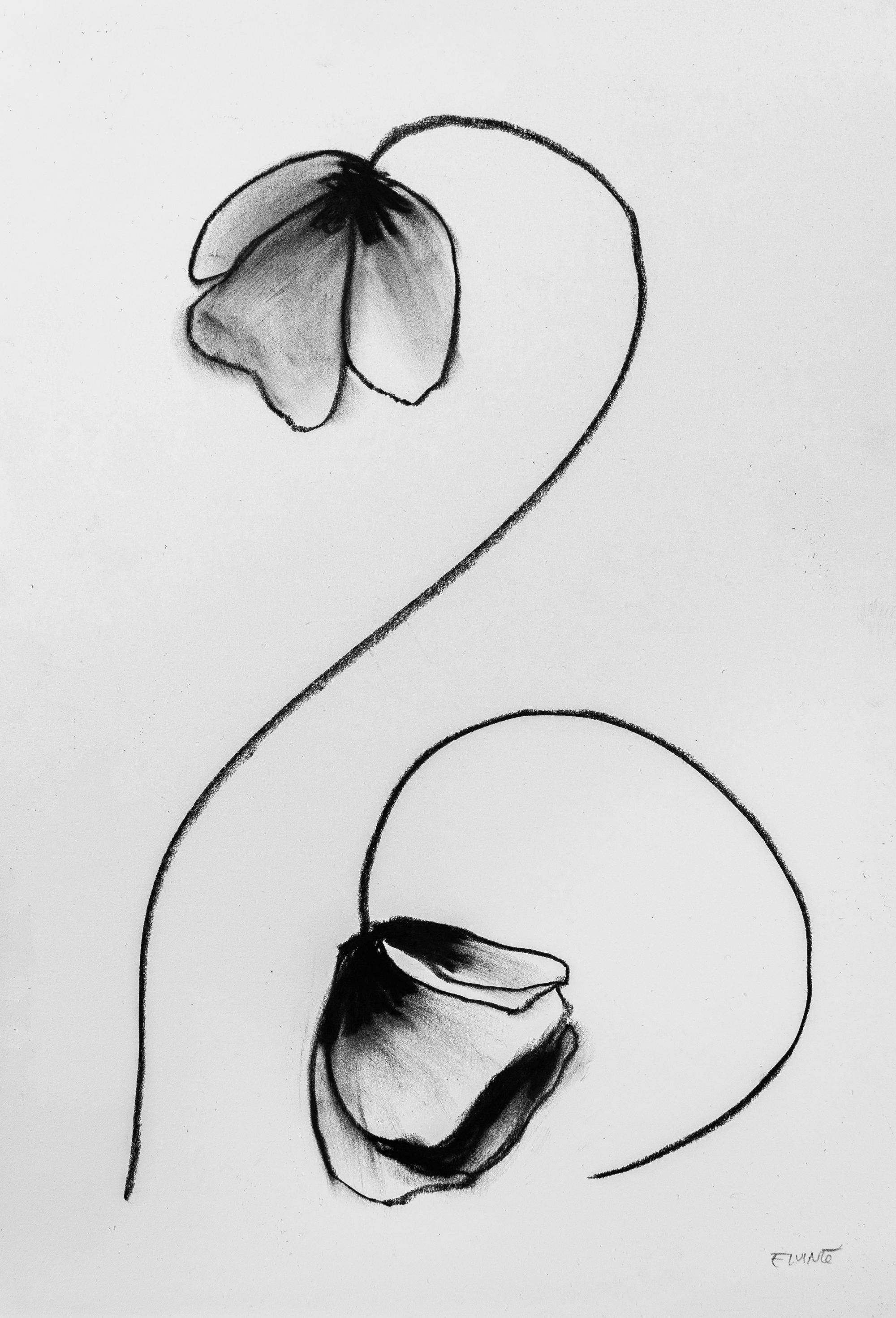 Floral Sketch 08 — Sold