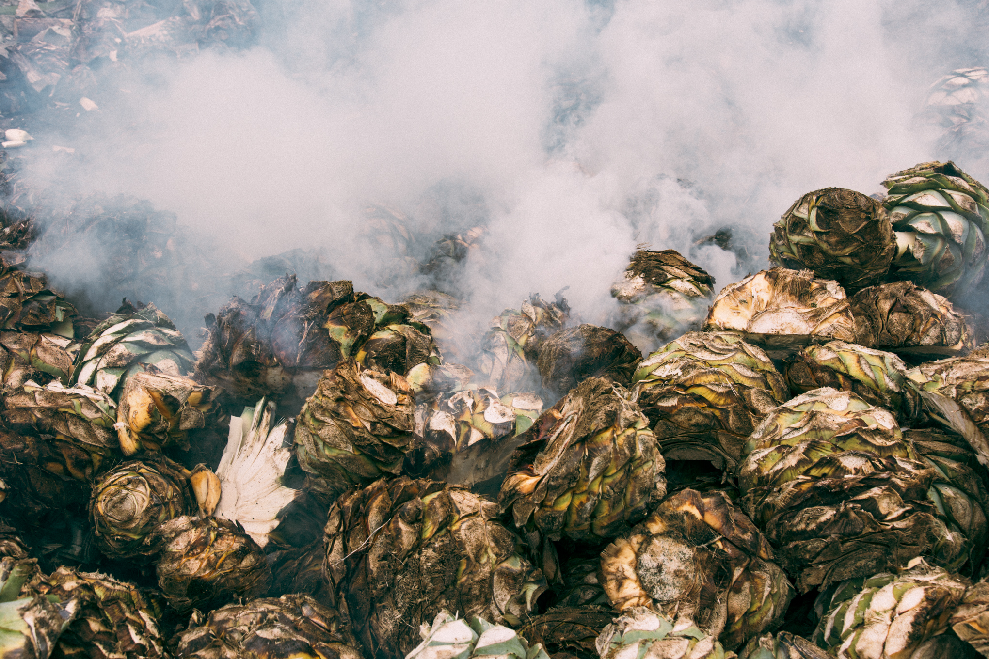 oaxaca x mezcal unión
