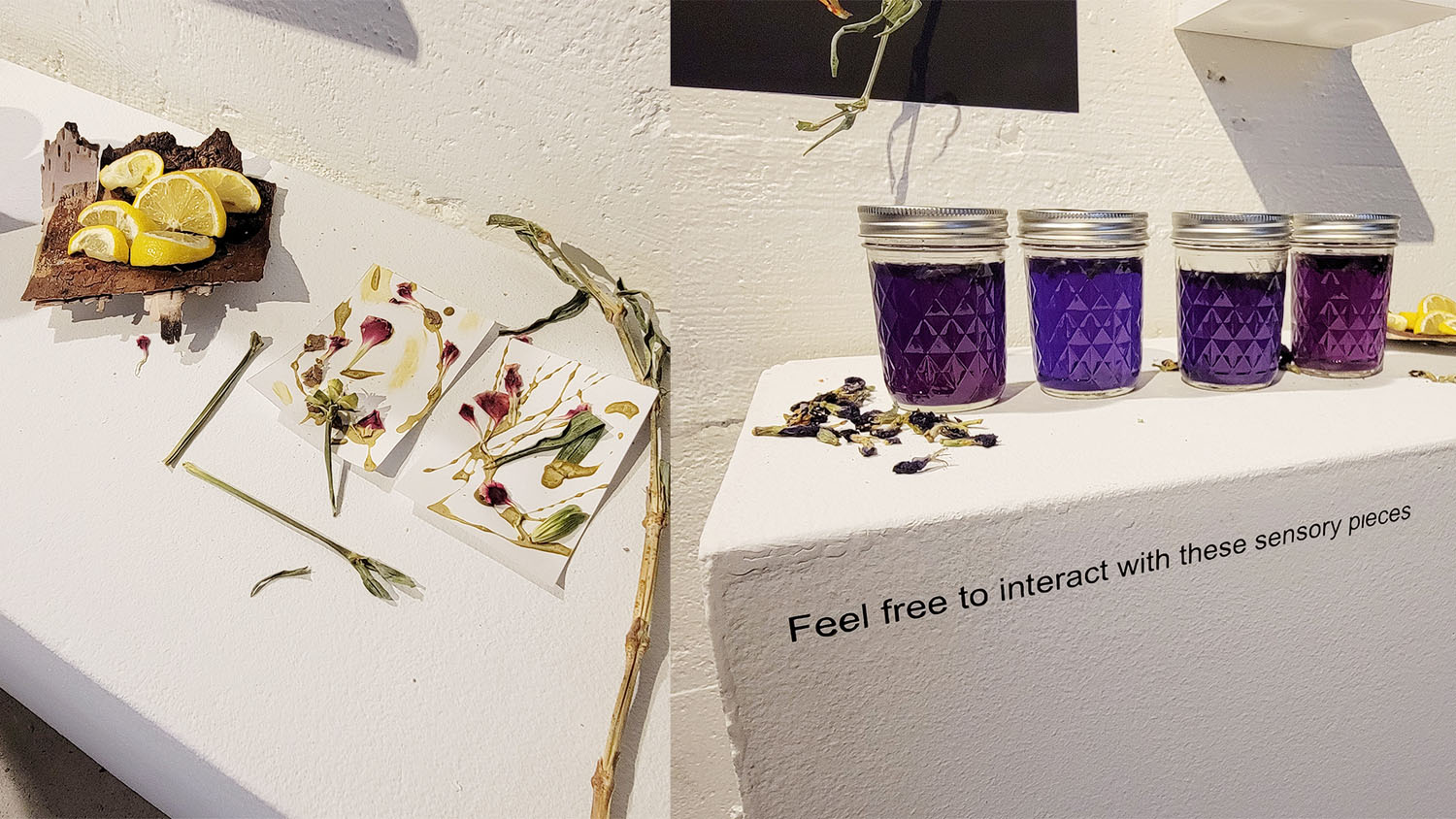 In Our Nature (Interactive Piece)