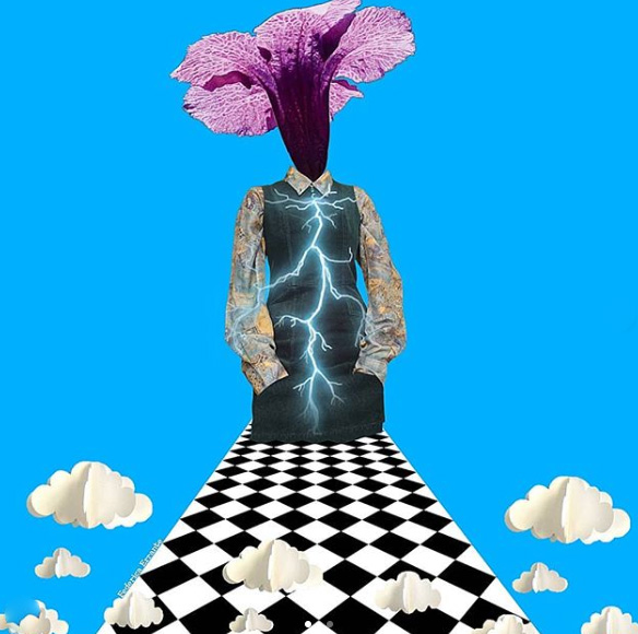 Federica Errante Calcomanías