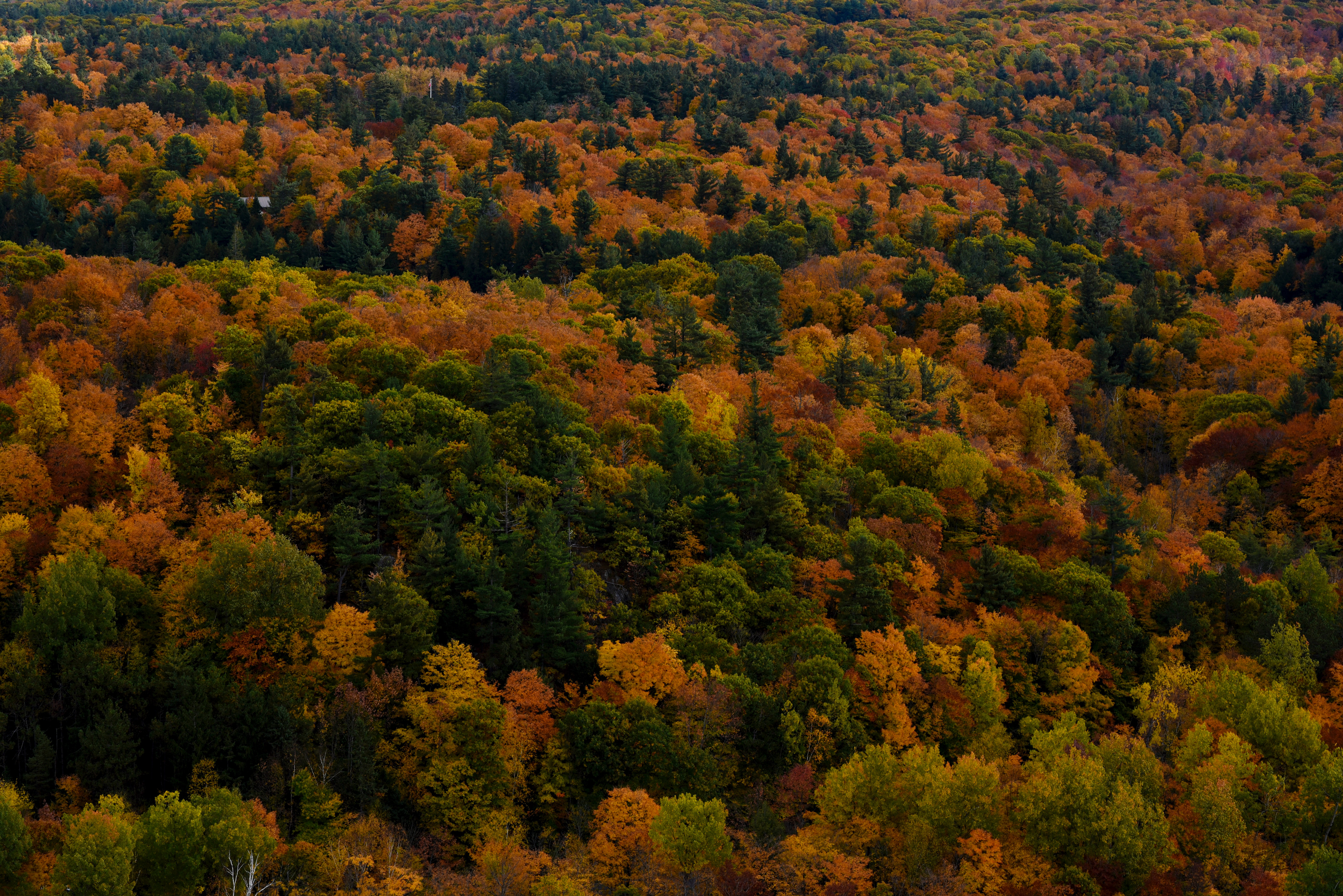 [urbex] symphony royal (Gatineau, Quebec)