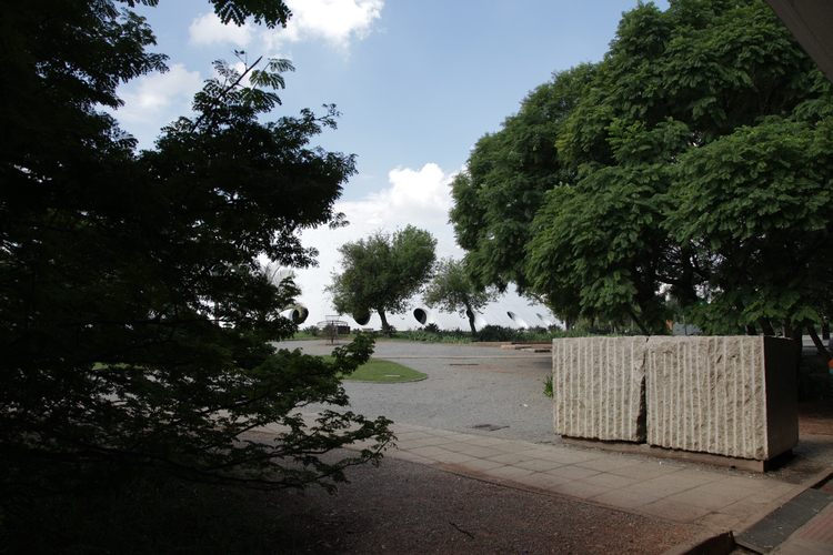 Ibirapuera Park Sao Paulo 