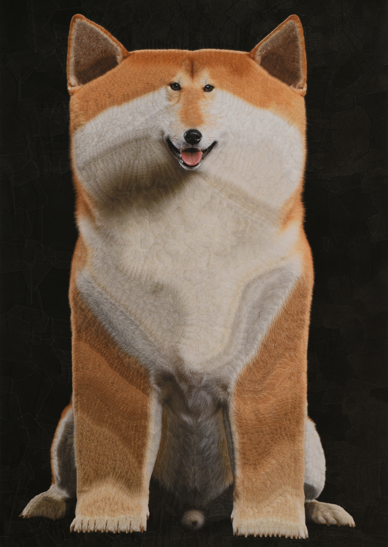 Randy 6, 2023, 11.6 x 16.5 inches