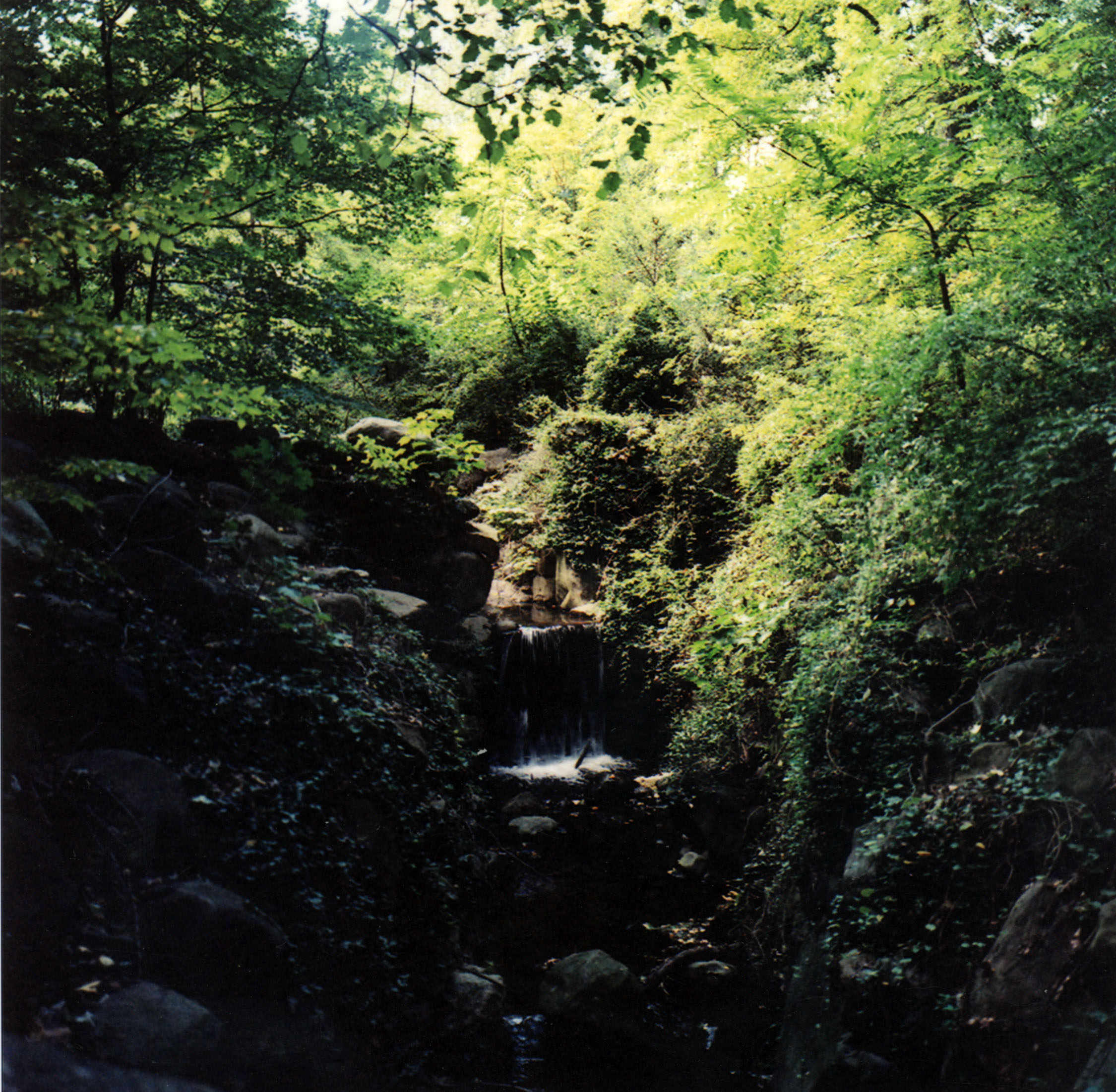 Waterfall, Prospect Park, Brooklyn 2008