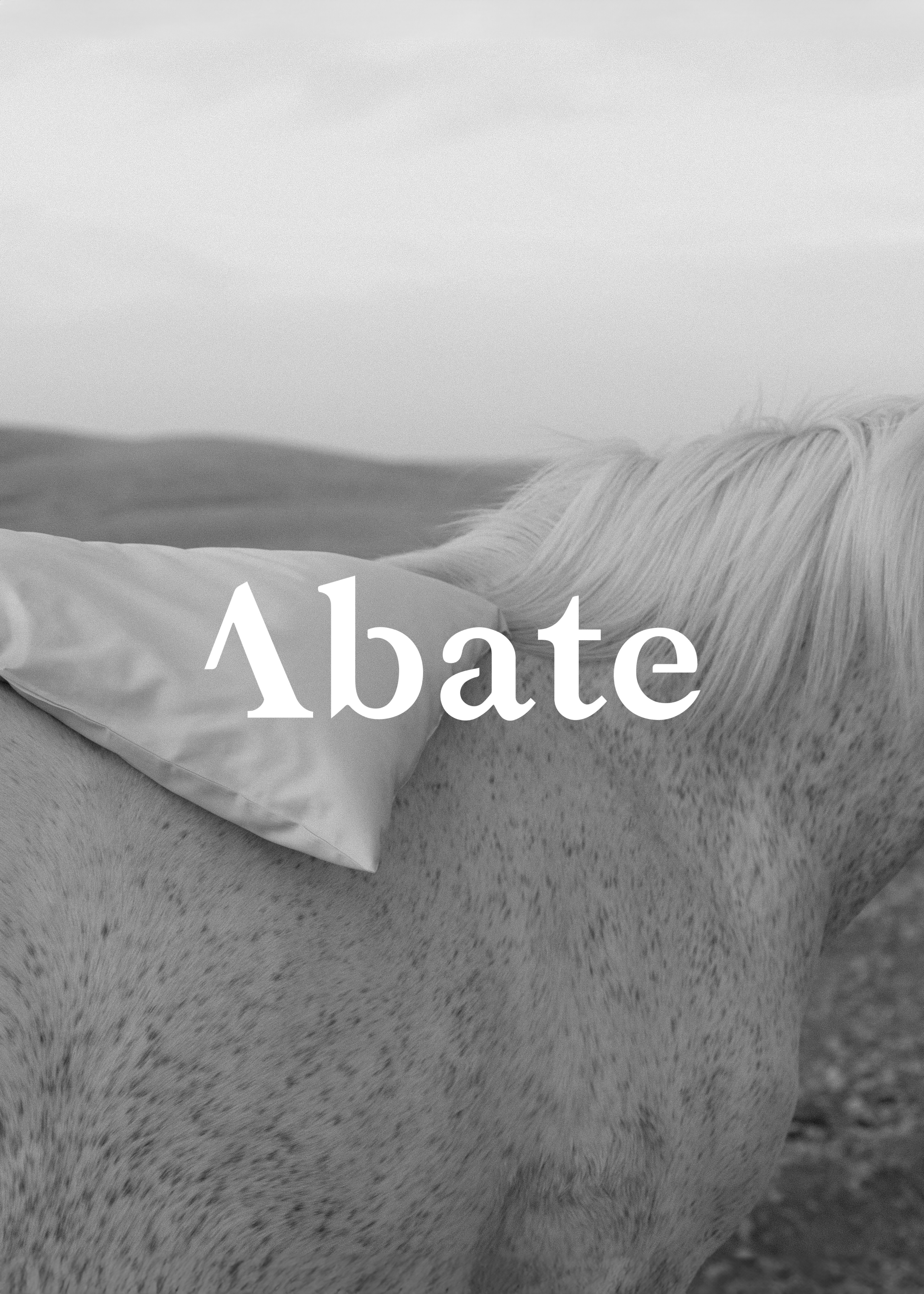 art direction & photography for abate oslo