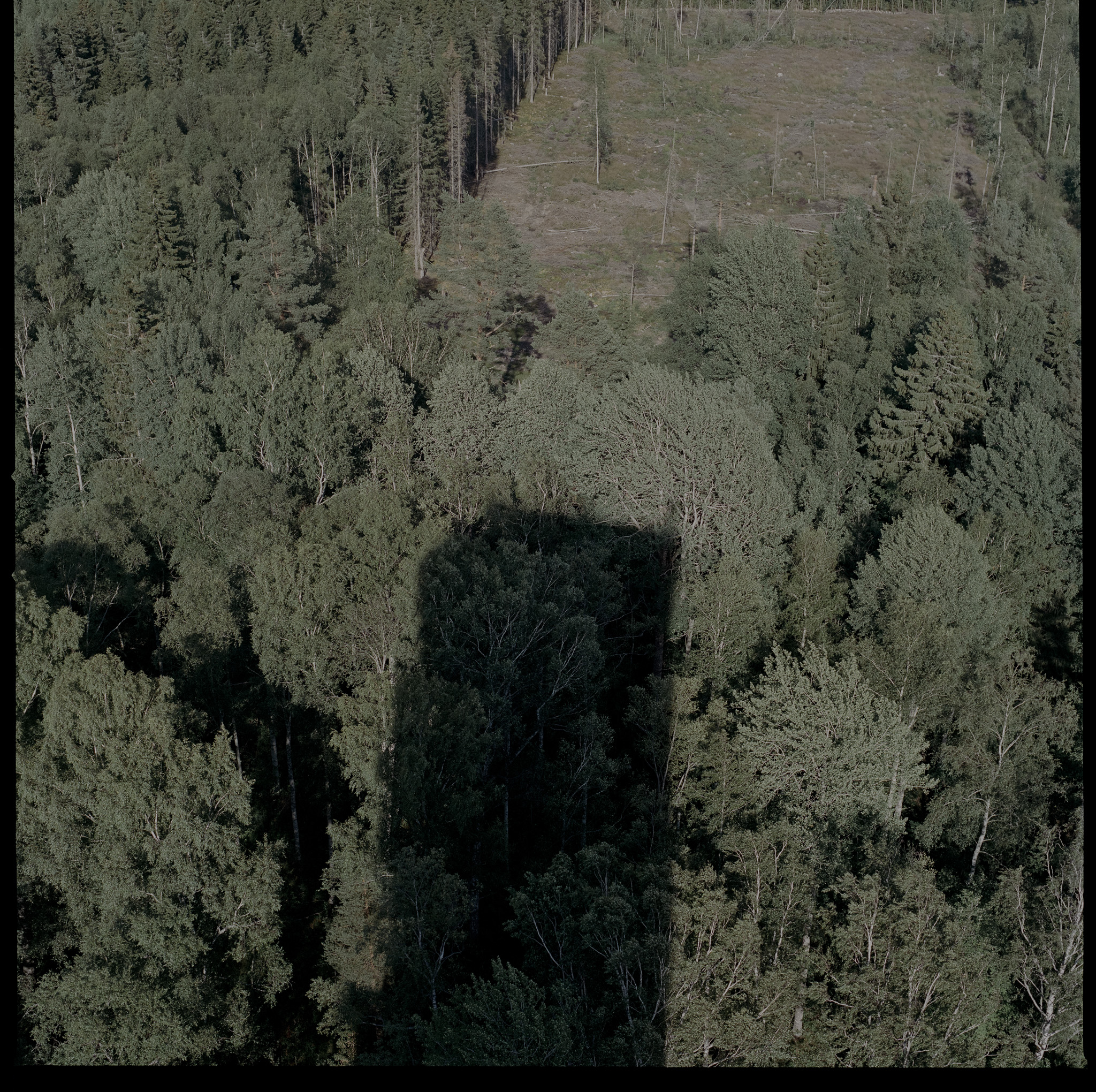 from mimerlaven (norbergfestival)