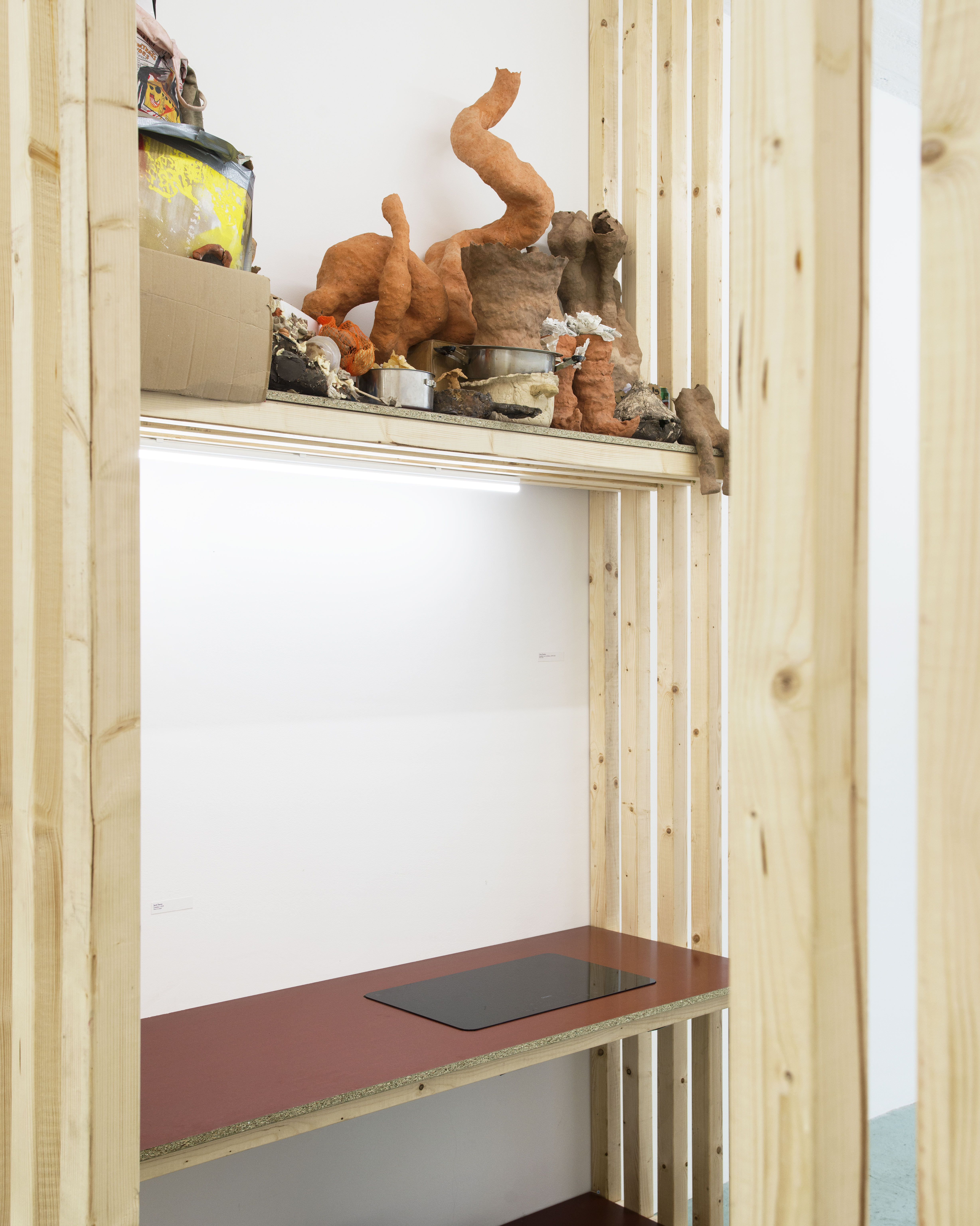 P|cture by Fabien Silvestre Suzor