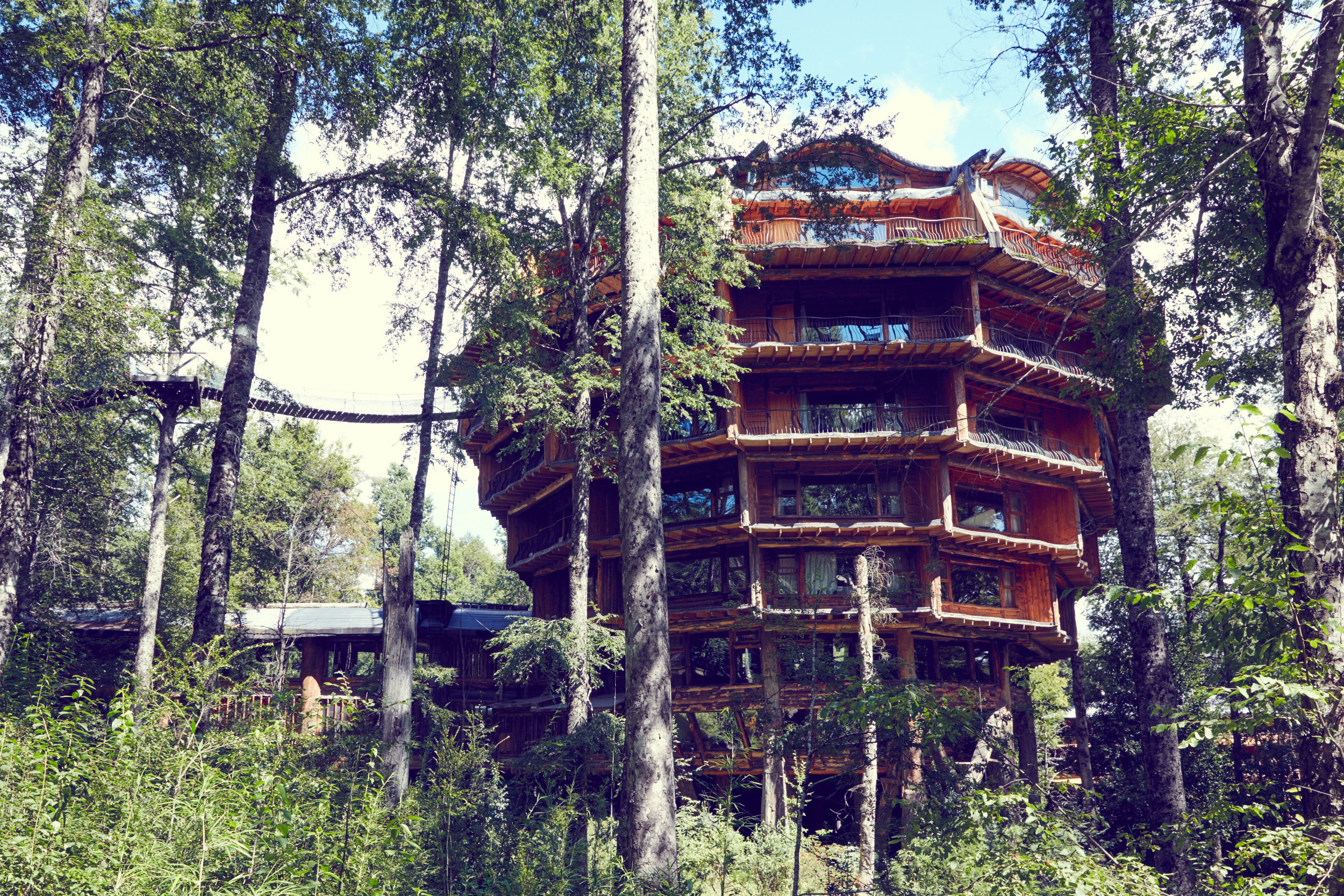 Nothofagus Hotel - Gugenheim Tree House.