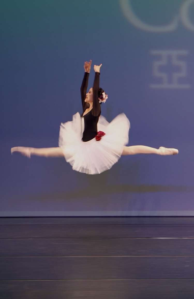 Don Quixote Bridesmaid 1 (Click for more)