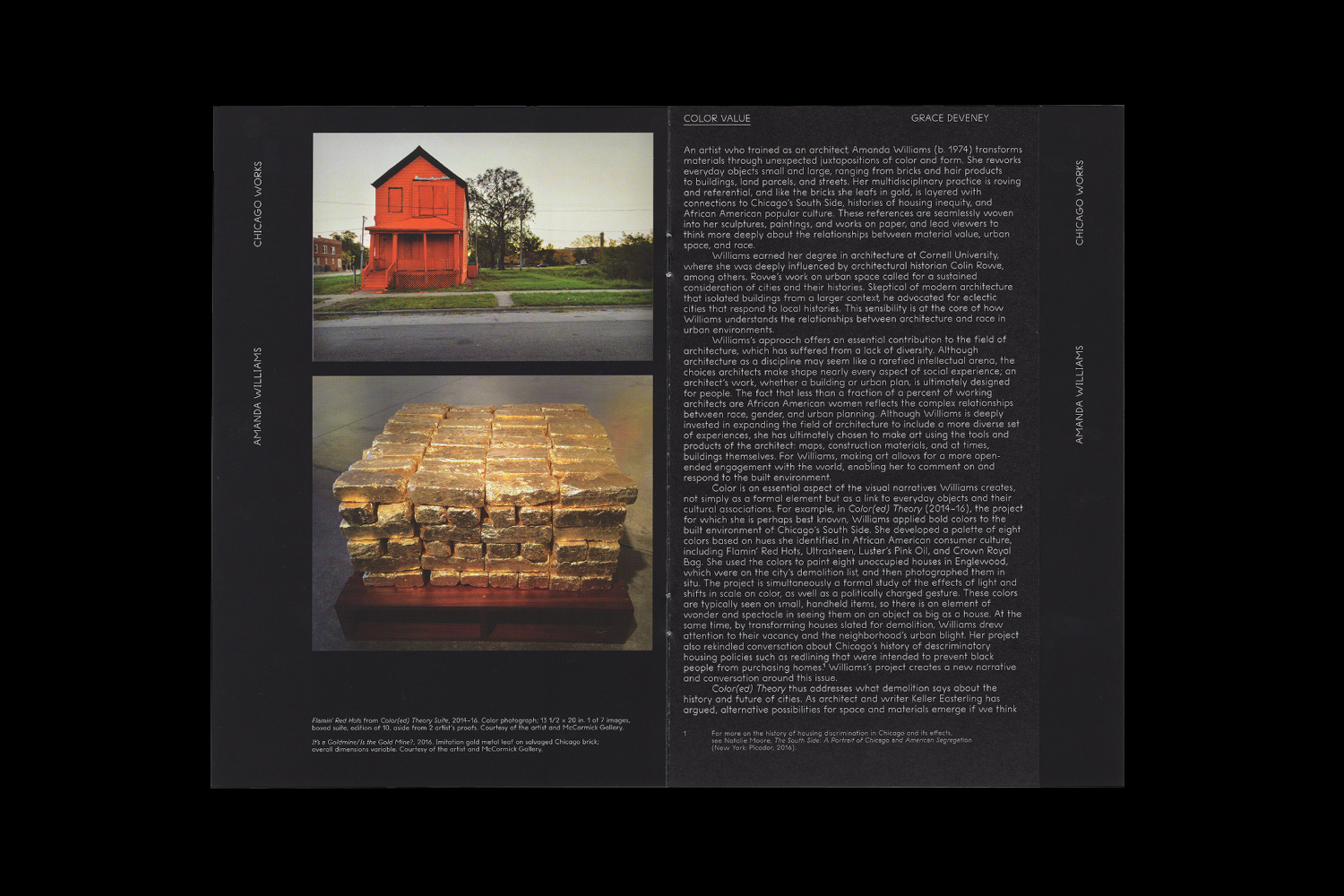 CHICAGO WORKS: AMANDA WILLIAMS