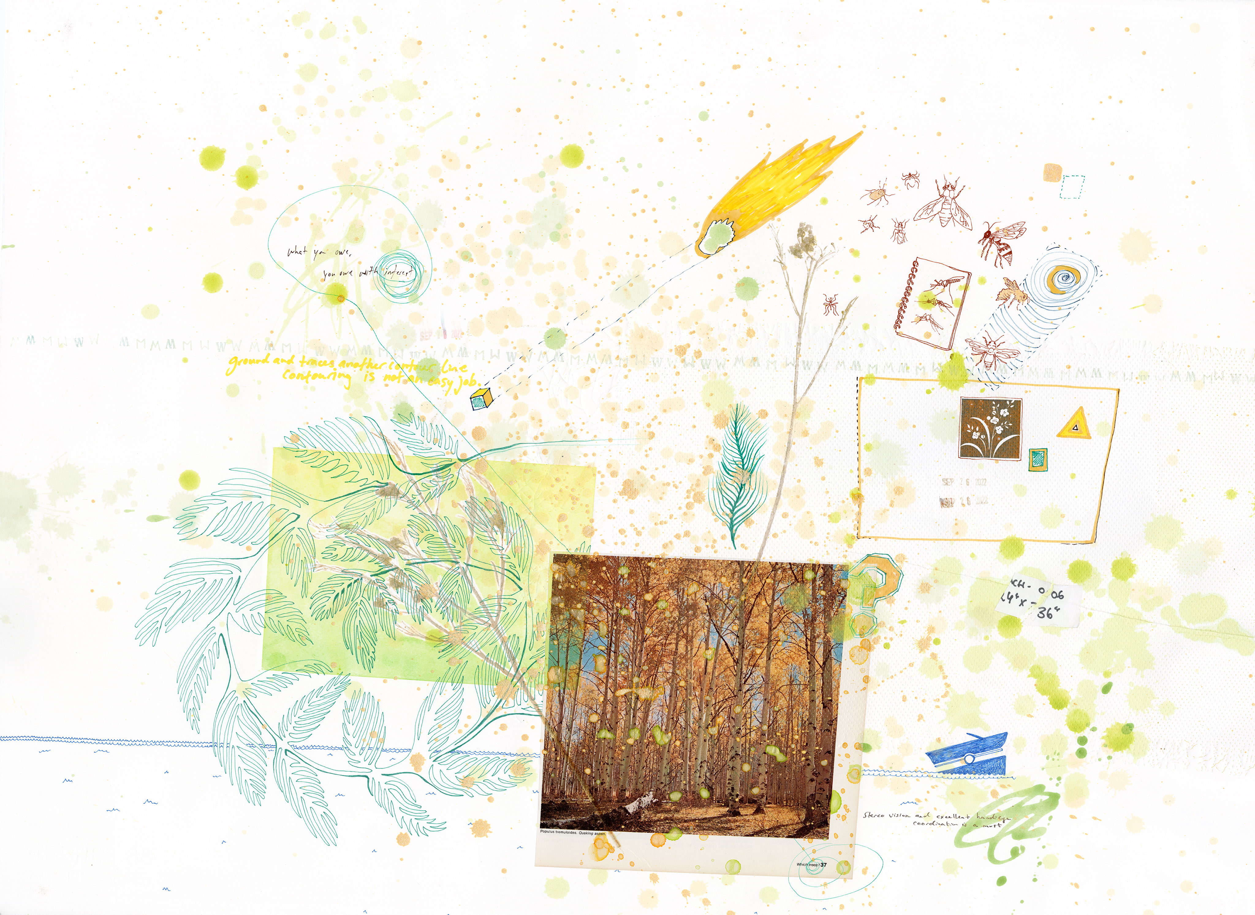 Drawing 44/56 from 56 days at the Dome House 22.5 x 30 inches, ink, Chine-collé, etching and stamps on Arches 88 paper - BUY