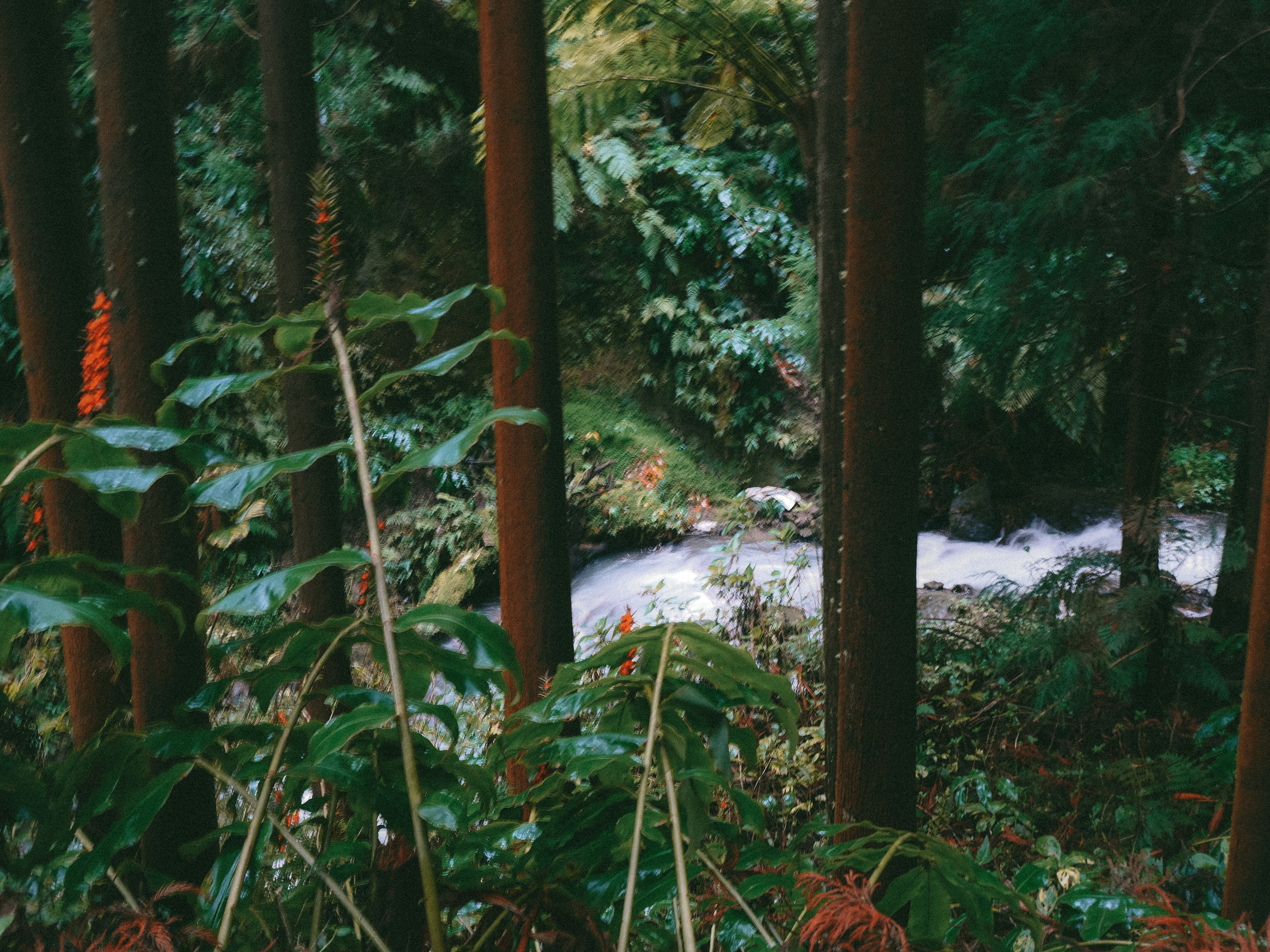 Visiting Sao Miguel island in winter