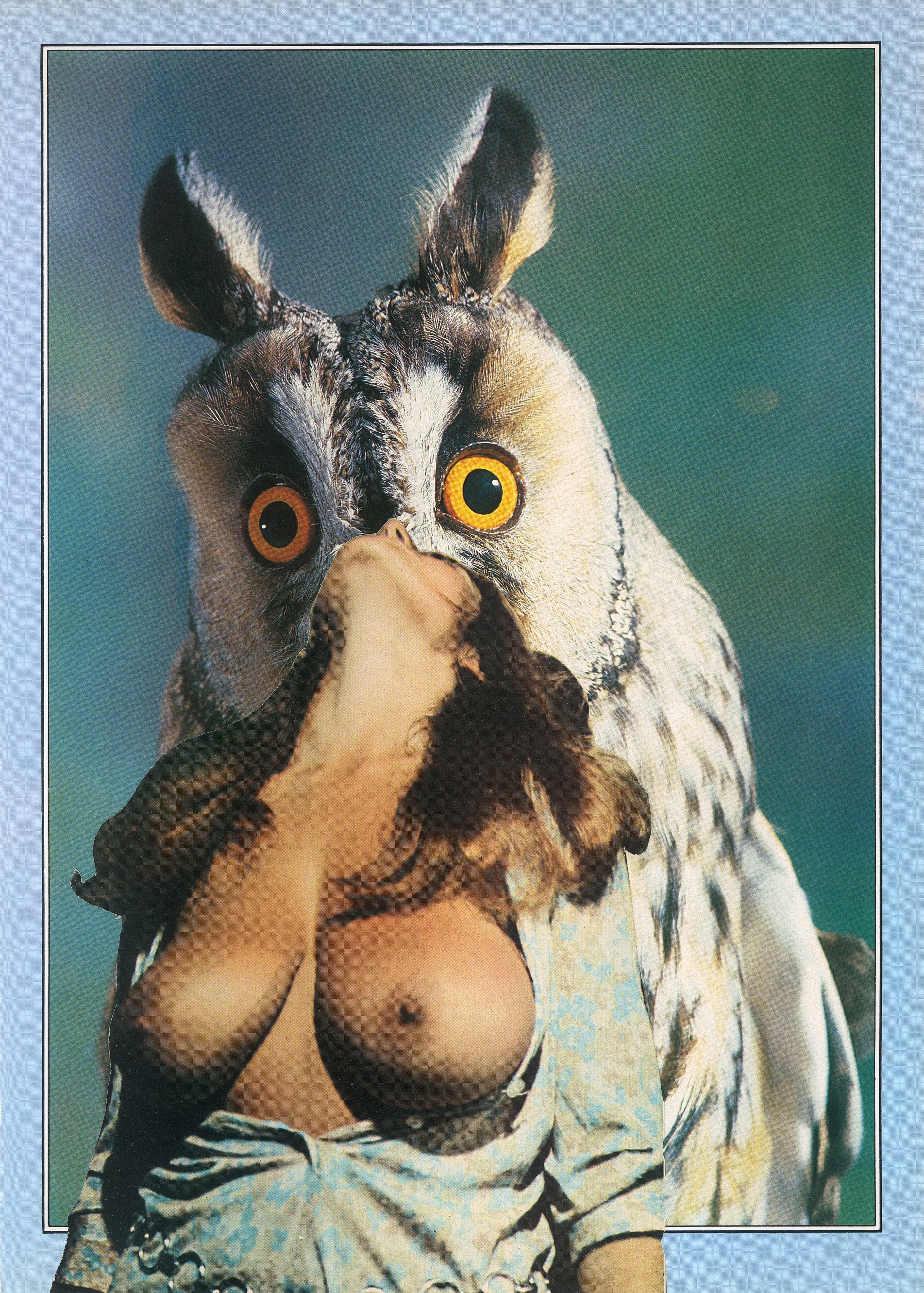 Hooters, 2014, photomontage, 22 x 34 cm