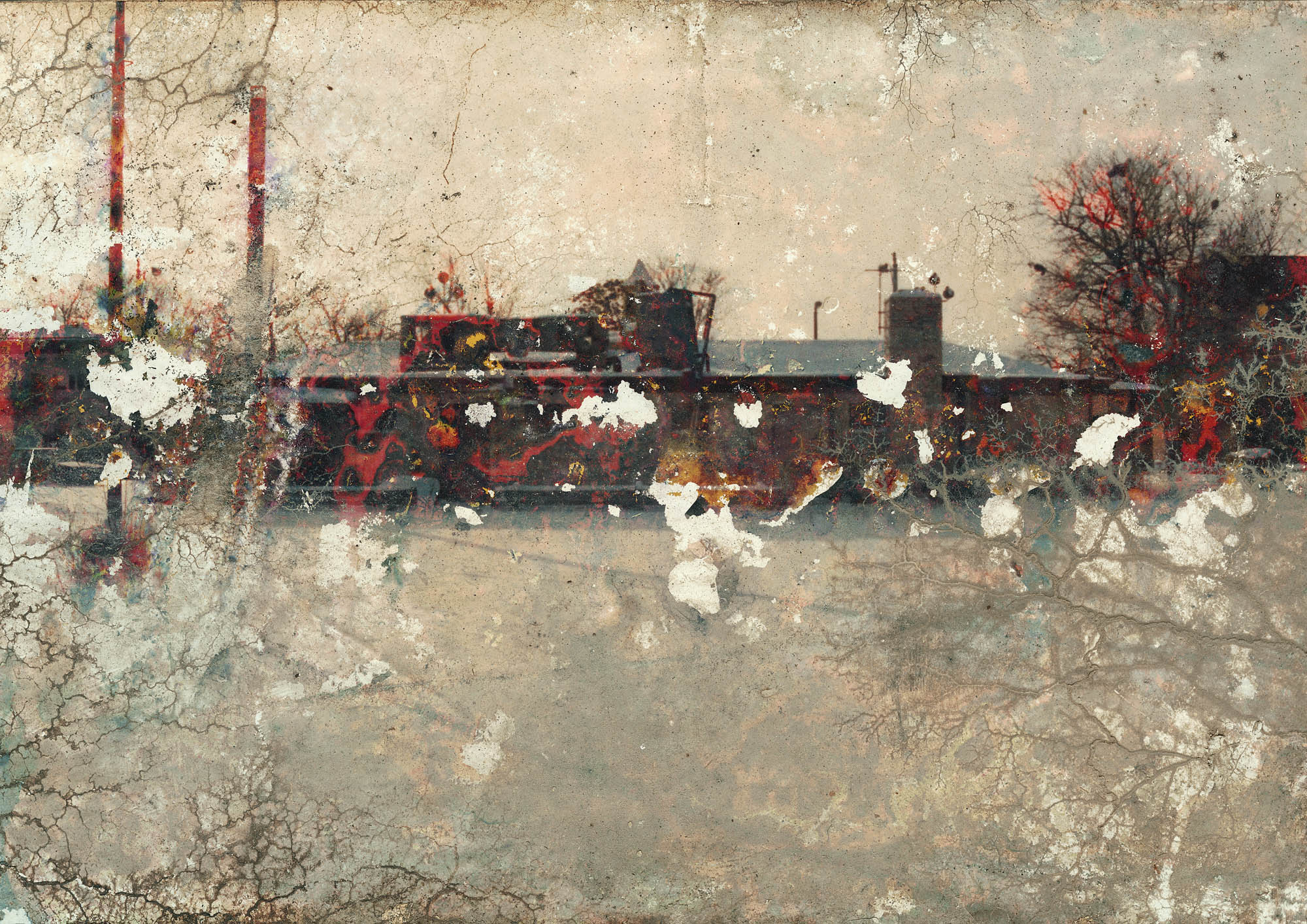 Landscape, Found photos in Detroit, 2011 (110x165cm)Ed.3