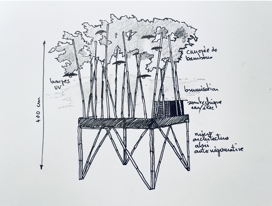 Esquisse architecture auto-générative Olivier Nattes  2021