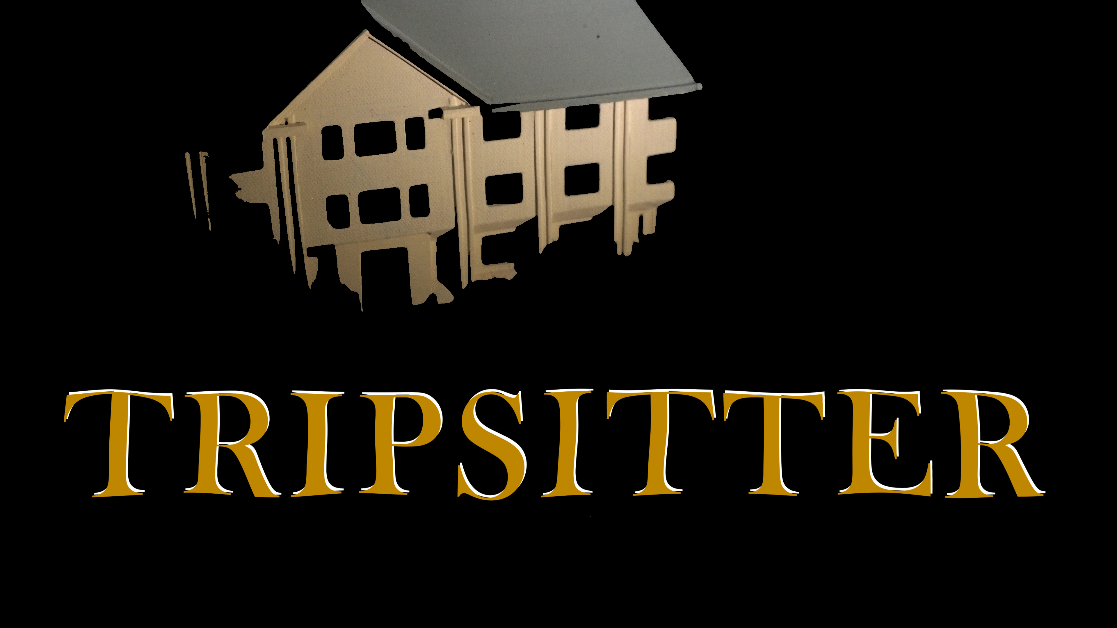Tripsitter (2020) film still