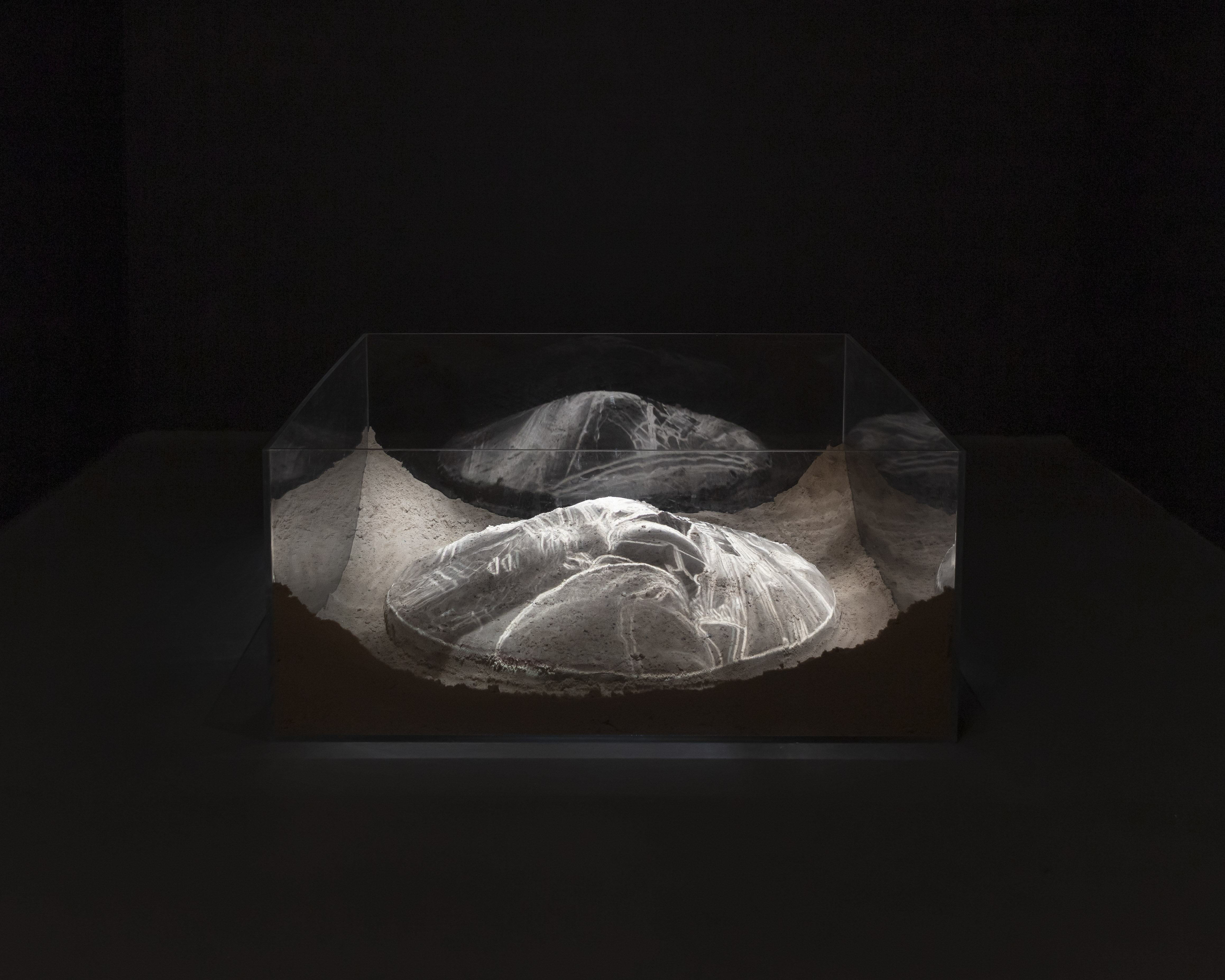 Ankhon Dekhi @ Vårutstillingen 2023