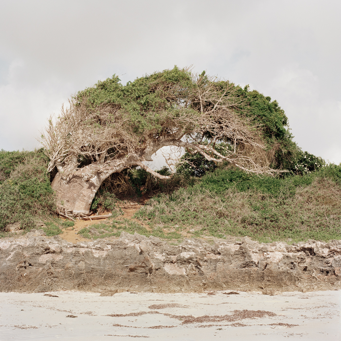 Kilifi Coastline, 2022