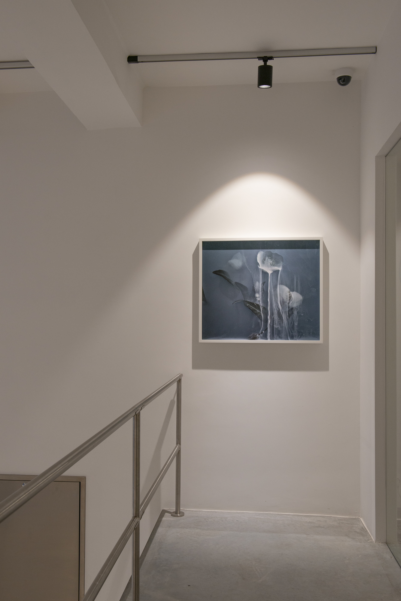 Solo exhibition Rasson Gallery, Belgium 2019