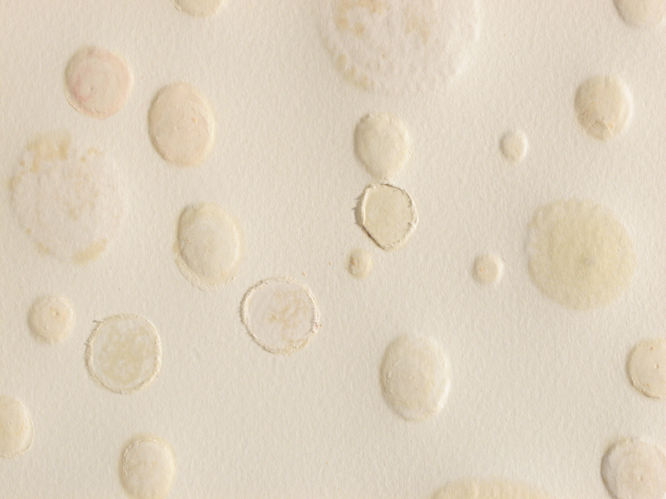  Untitled, 2004 . Cuts, marks, embossing and oil stains on paper . 32 x 41 cm