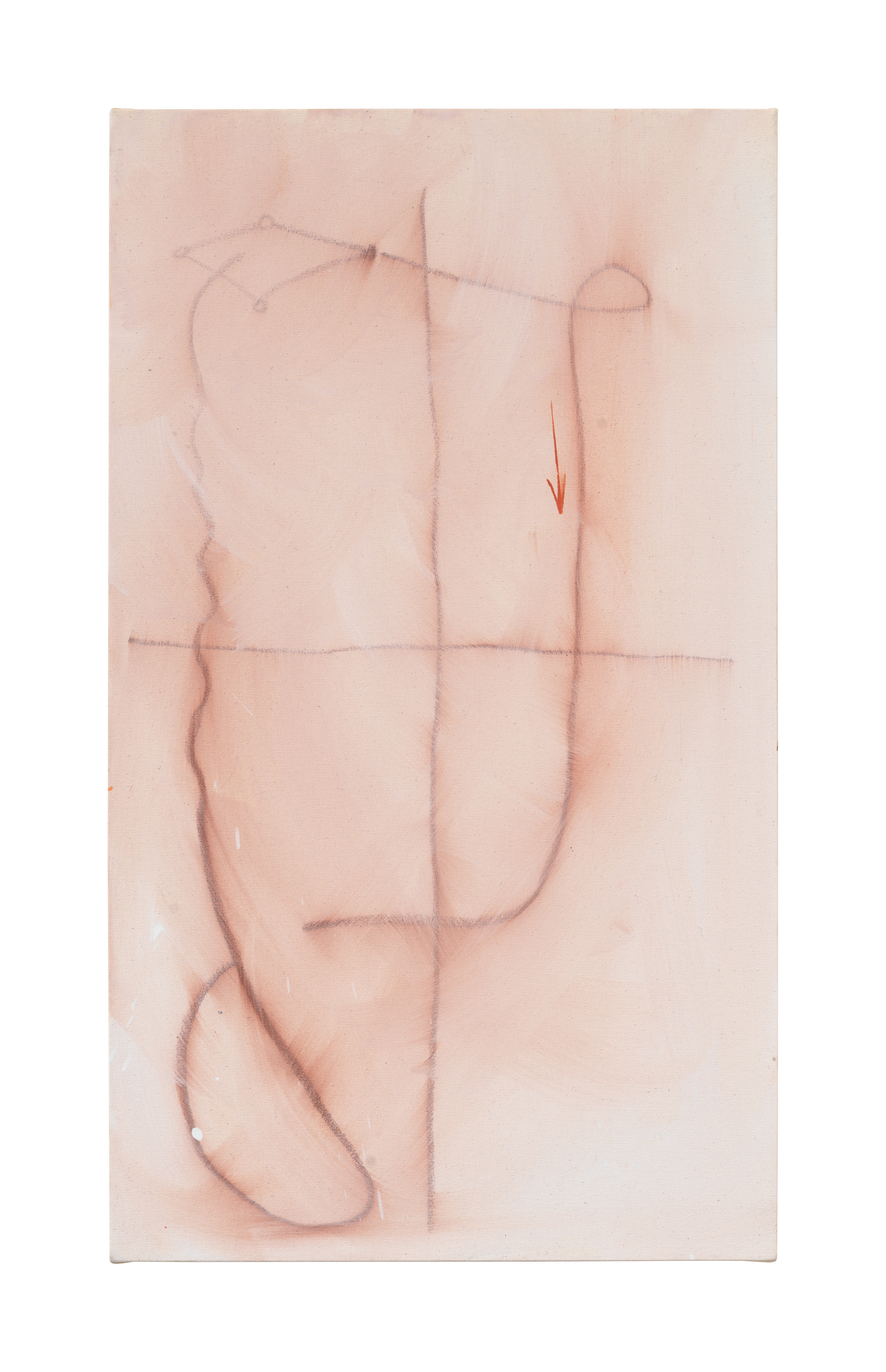 sosFound::subject_citizen:a_shrimp-that_eats_sand_DESIRE, 2019, oil on canvas, 62 x 32 cm