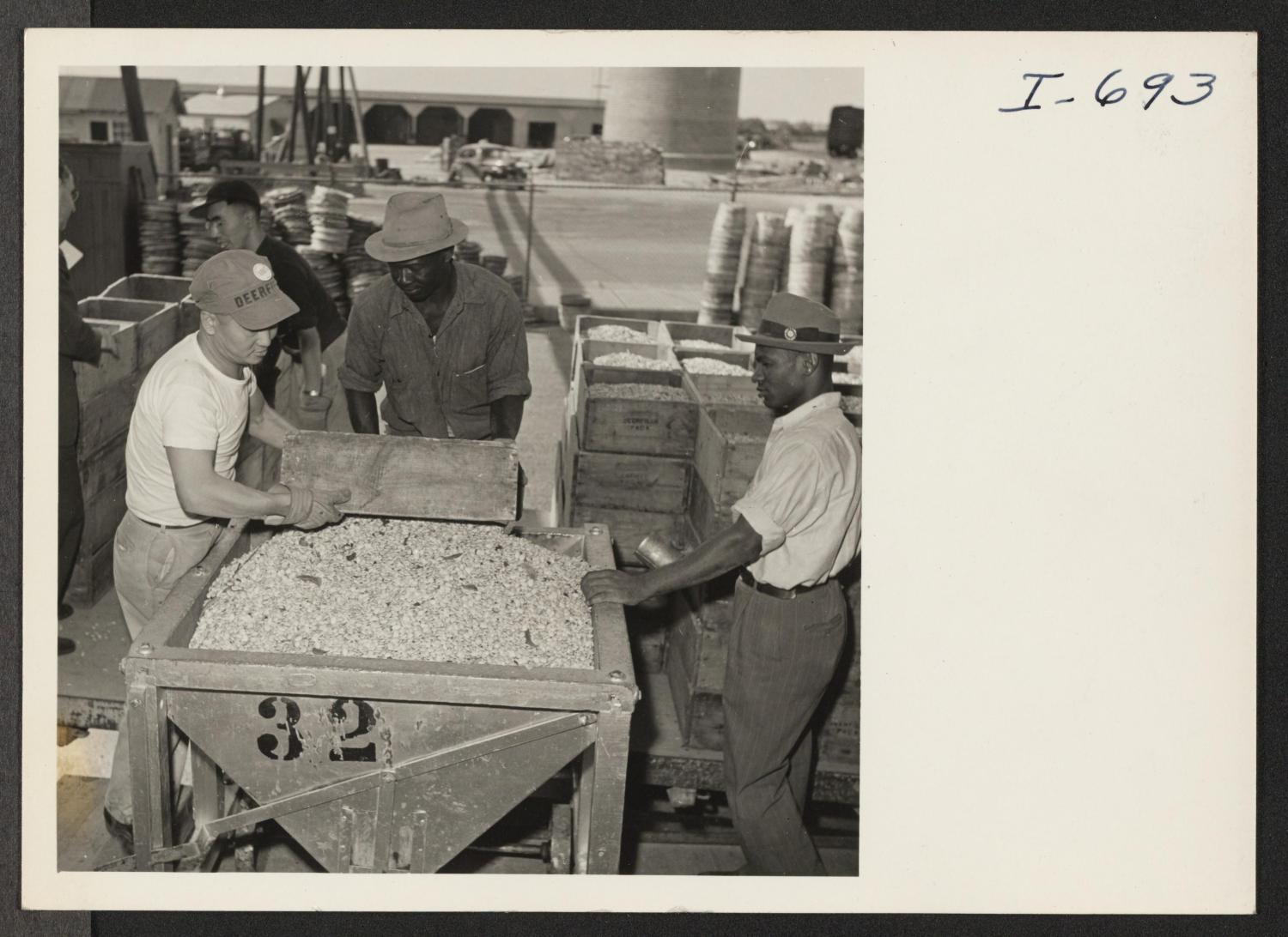 George Matsui (left), formerly of the Jerome and Gila River Relocation Centers, and his fellow workers unloading lima beans at Seabrook Farms