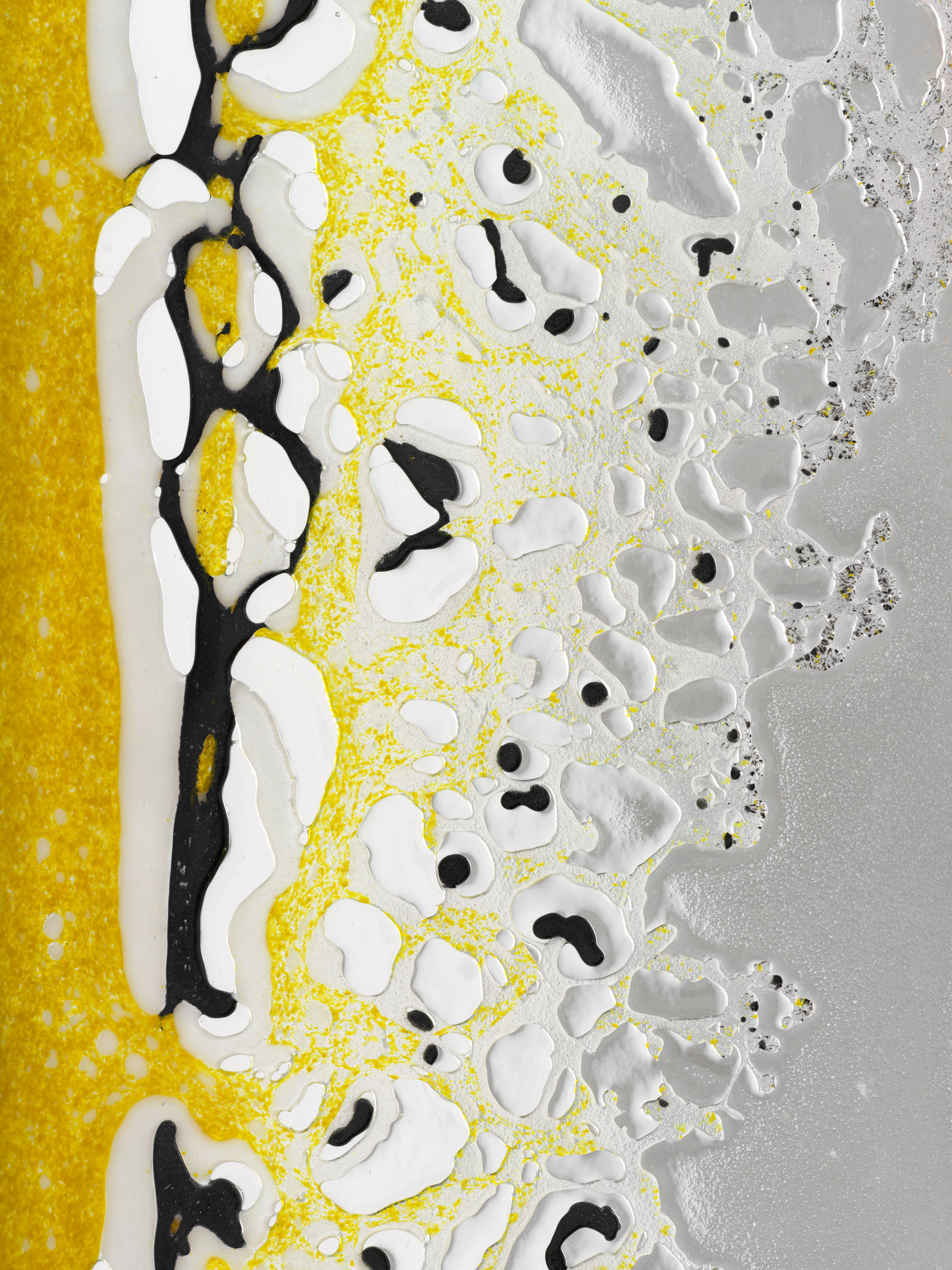 Tauba Auerbach / Paula Cooper Gallery