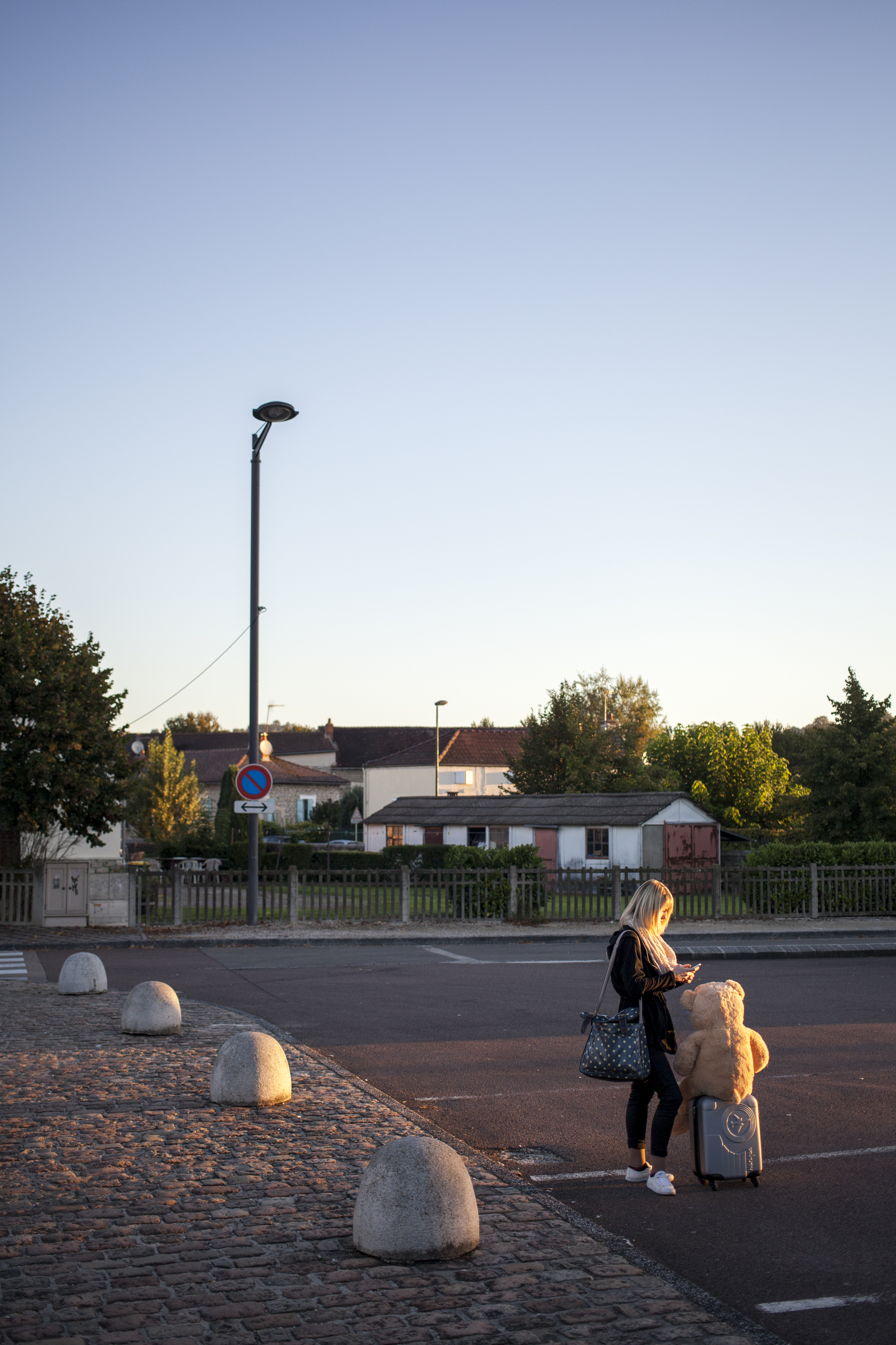 julien cregut-Lost Dogs-©juliencregut