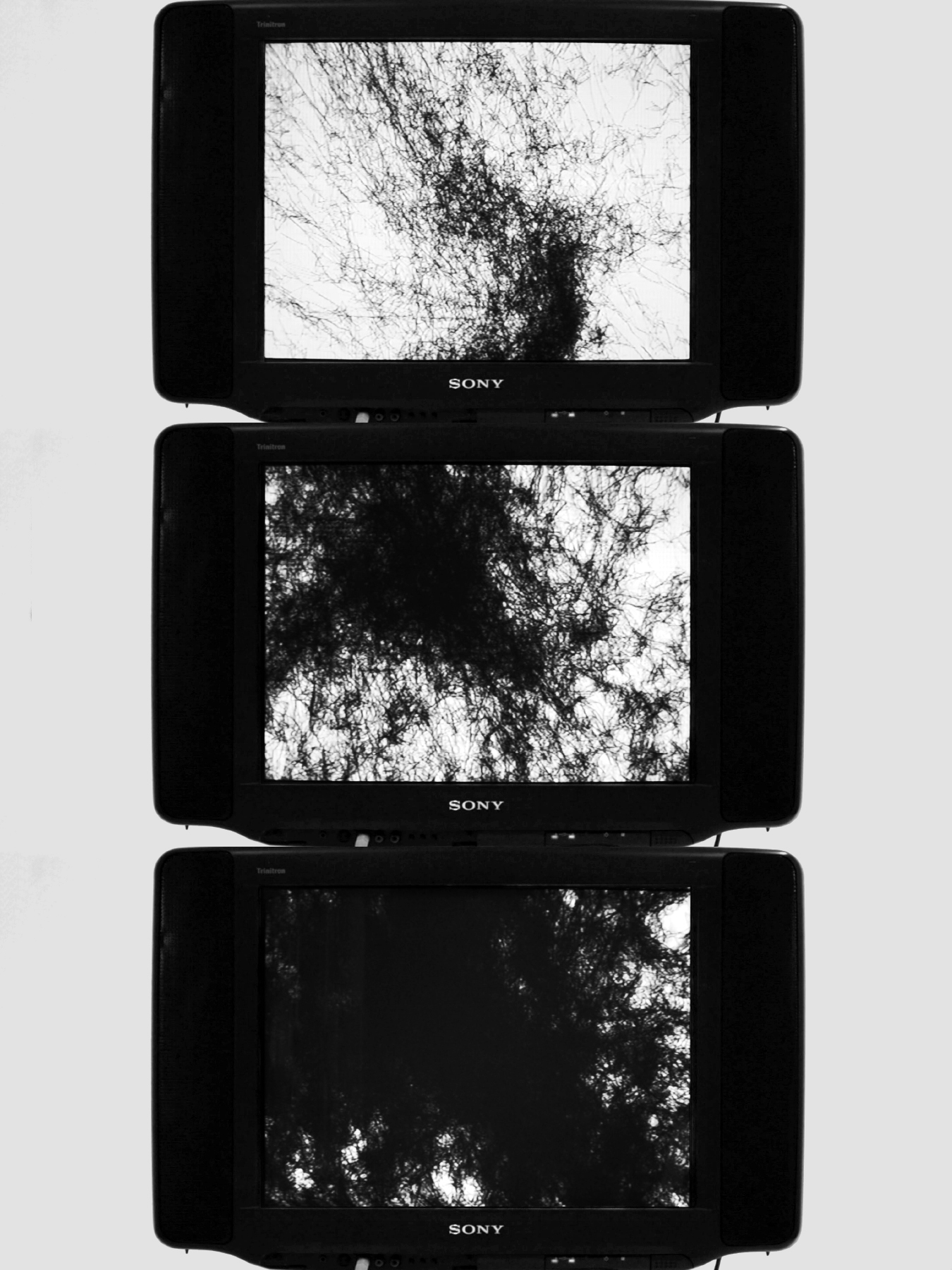 Self Captured in Absolute Black. still image from video, 2019, dimension variable, mixed media, technical support by Jin Lee; the dataset collected by the vibration sensor under the inkstone interacts with the generated moving image on the screen