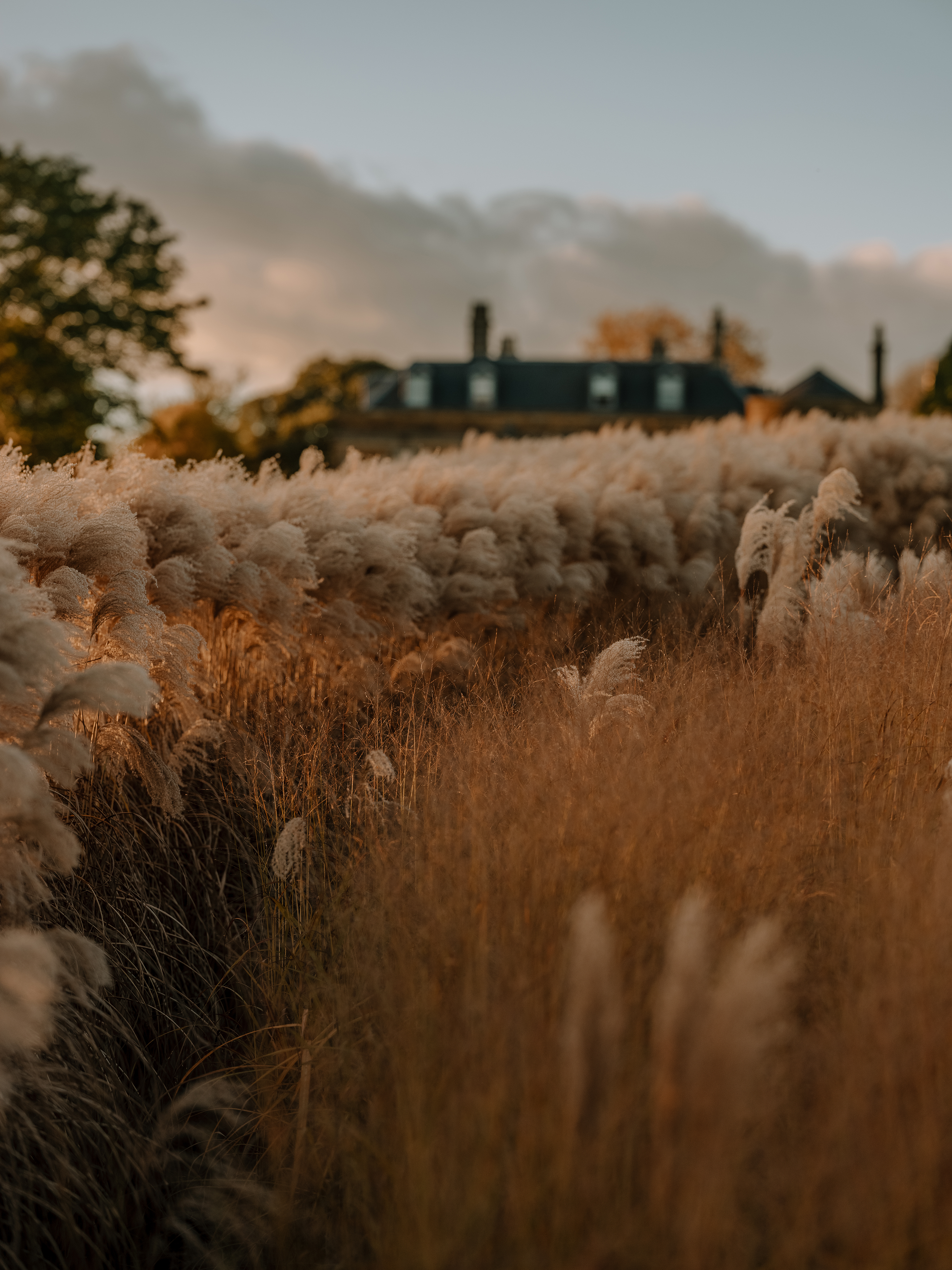 The Newt in Somerset