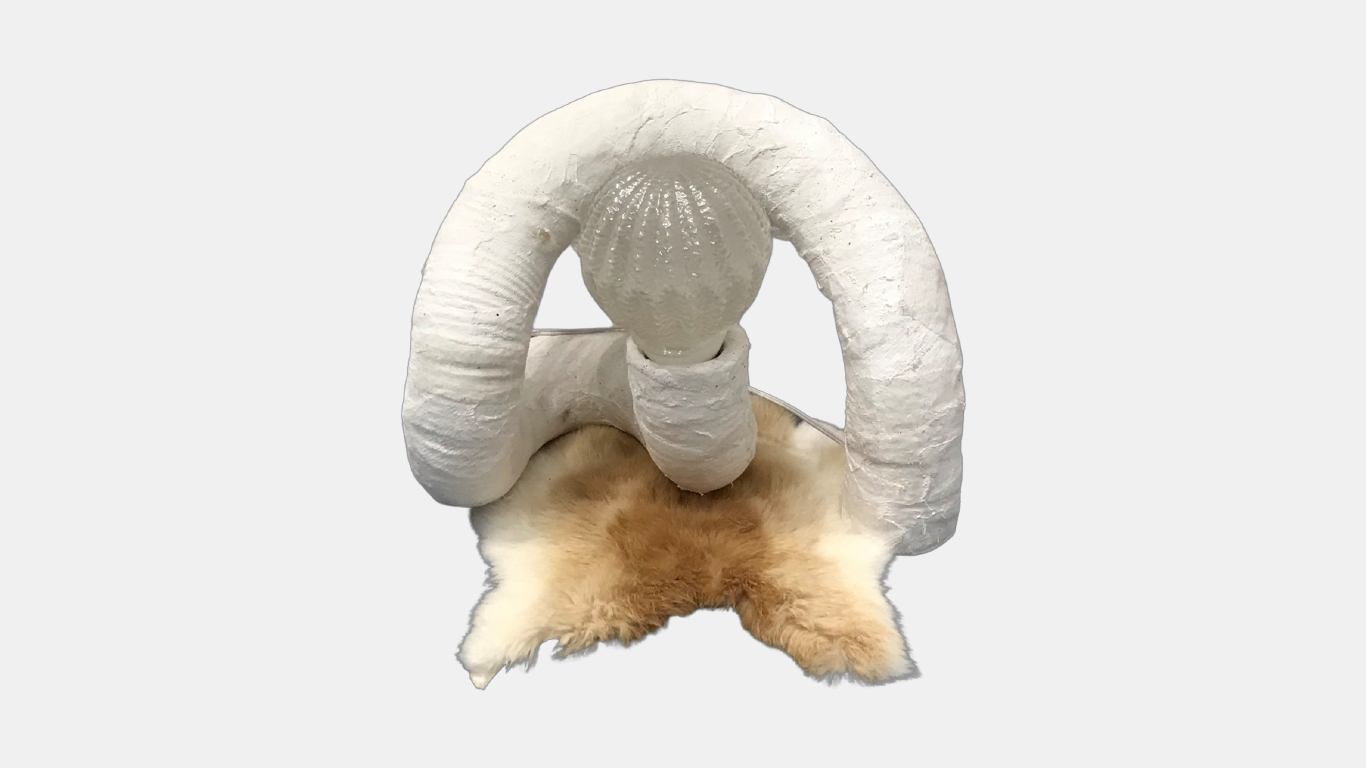 Fallopian Lamp, 2022