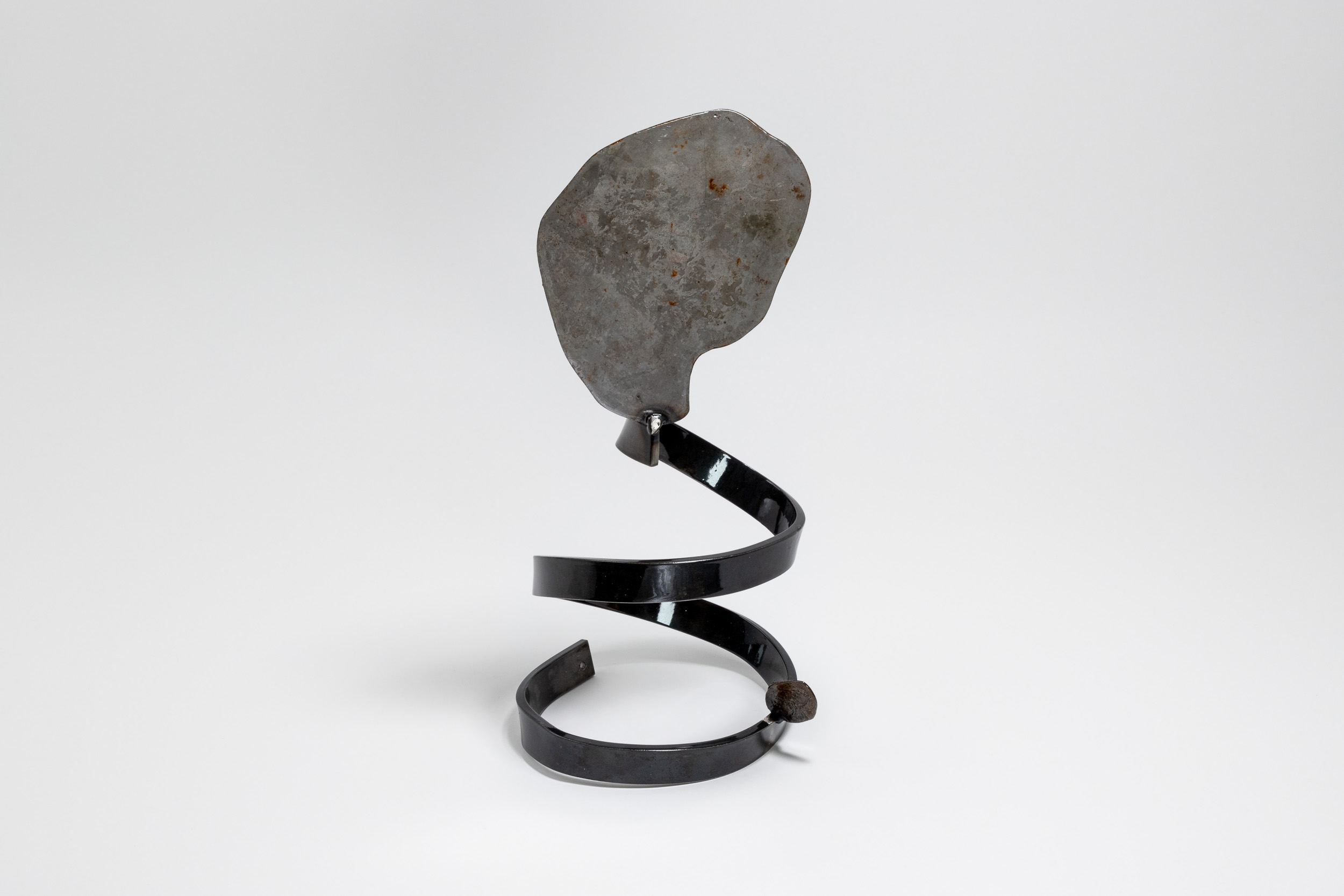 Xenophora 3/13, 32 x 16 x 14.5cm