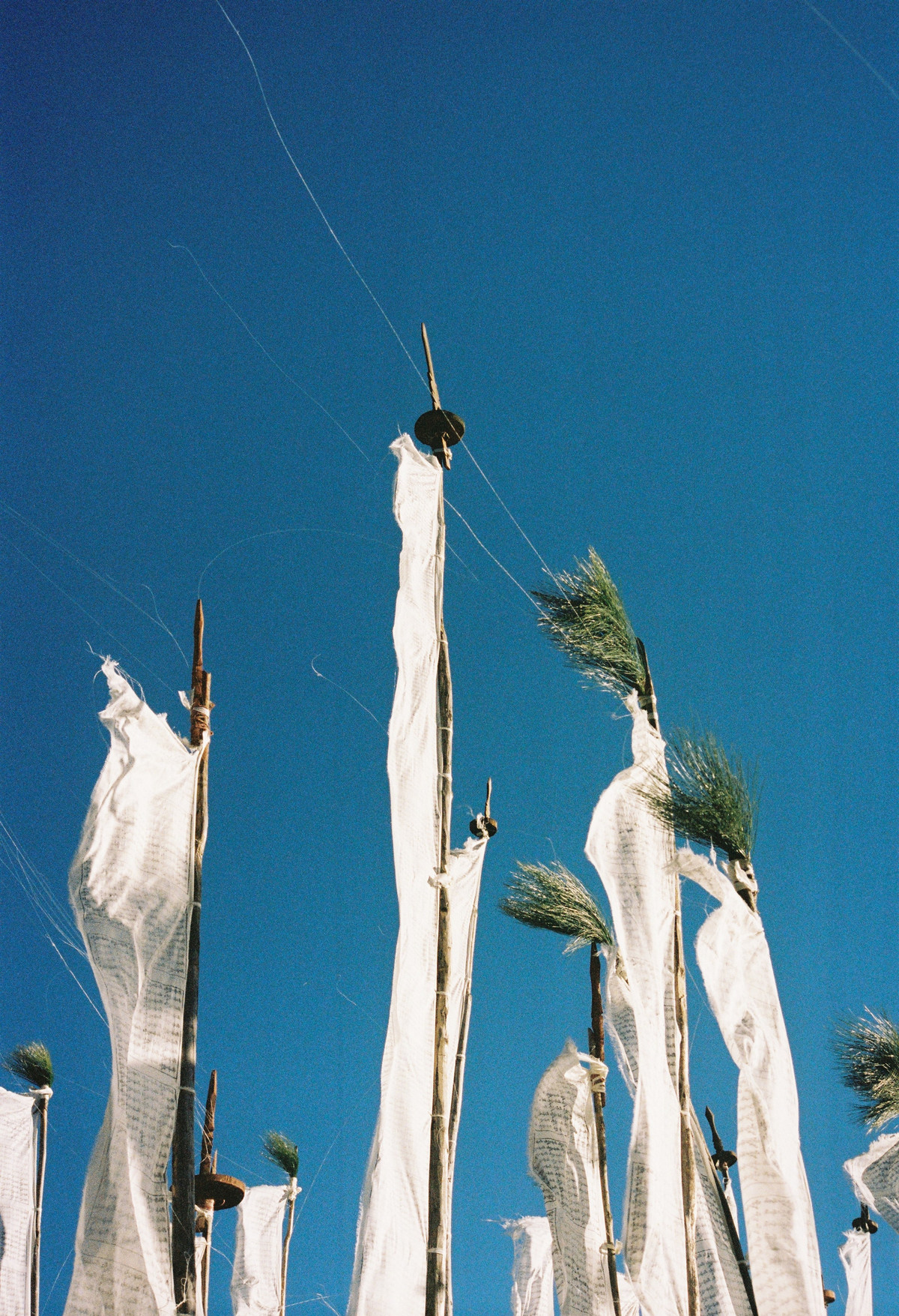 Symbolic poles scattered throughout Bhutan