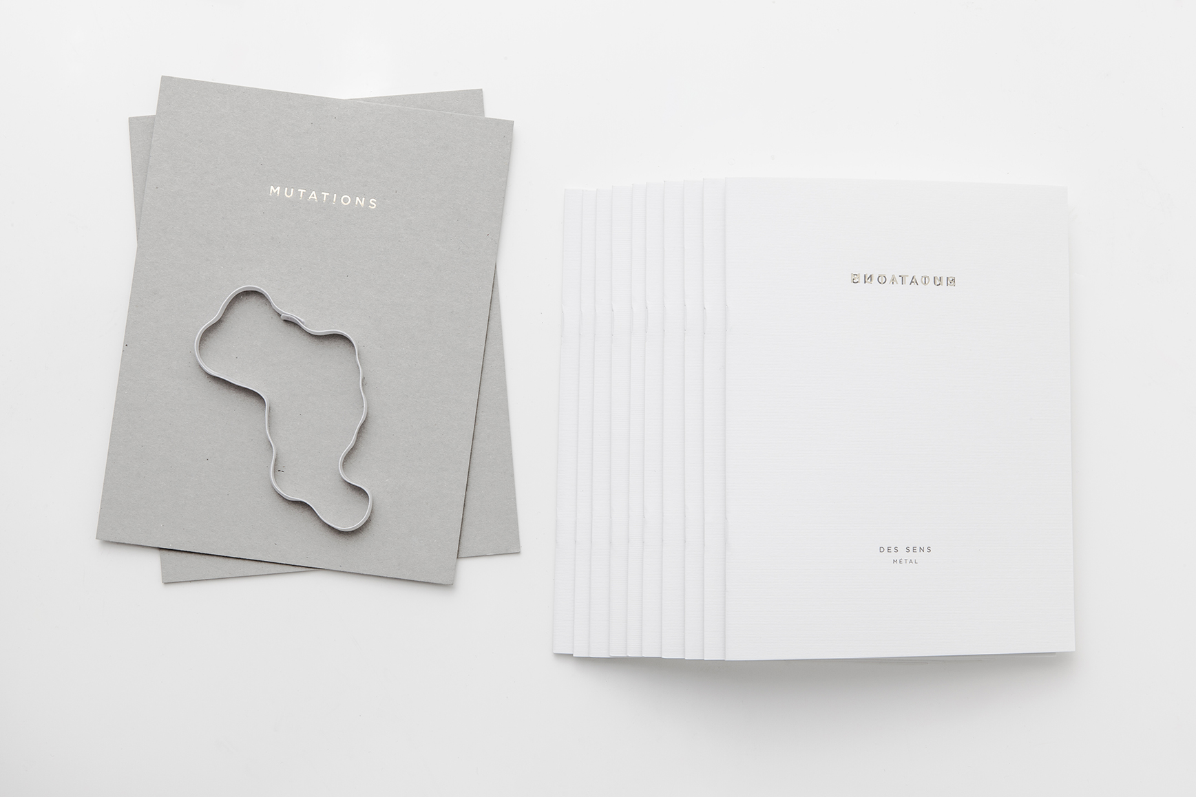 PHOTOGRAPHY RAF STUDIO OF MUTATIONS CATALOG FOR MAD PARIS