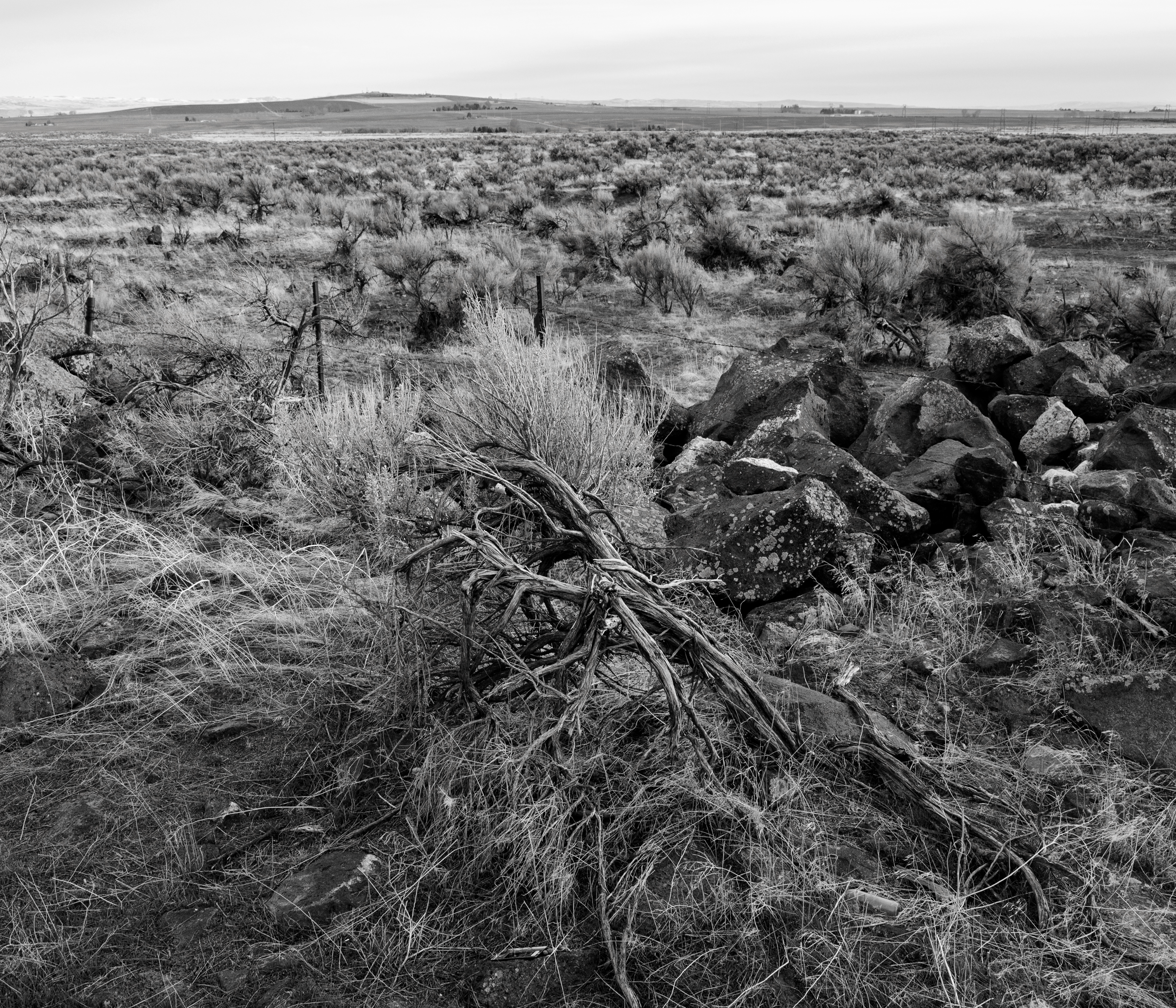 U.S. Department of the Interior Bureau of Land Management land, where Magic Valley Energy proposed the Lava Ridge Wind Farm.