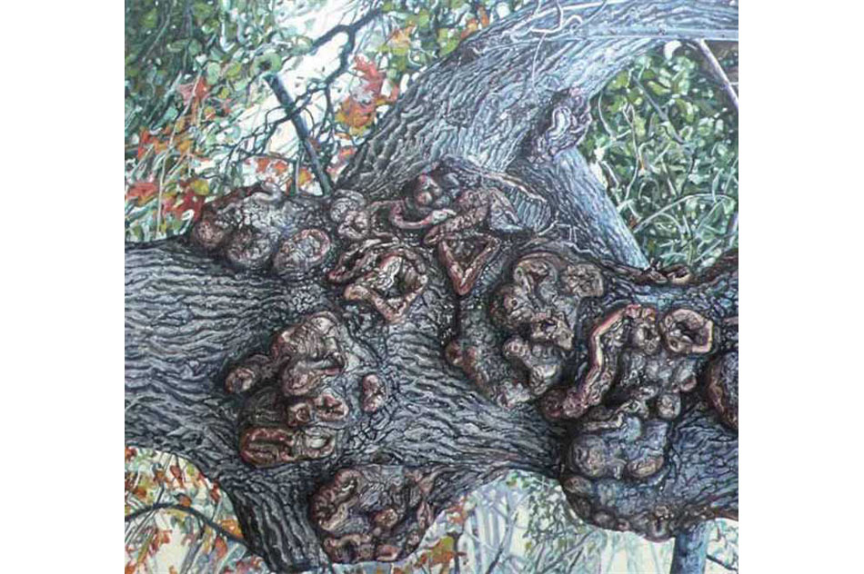 Álvaro OyarzúnComposicion No. 2, 2011Óleo sobre madera119 x 119 cm