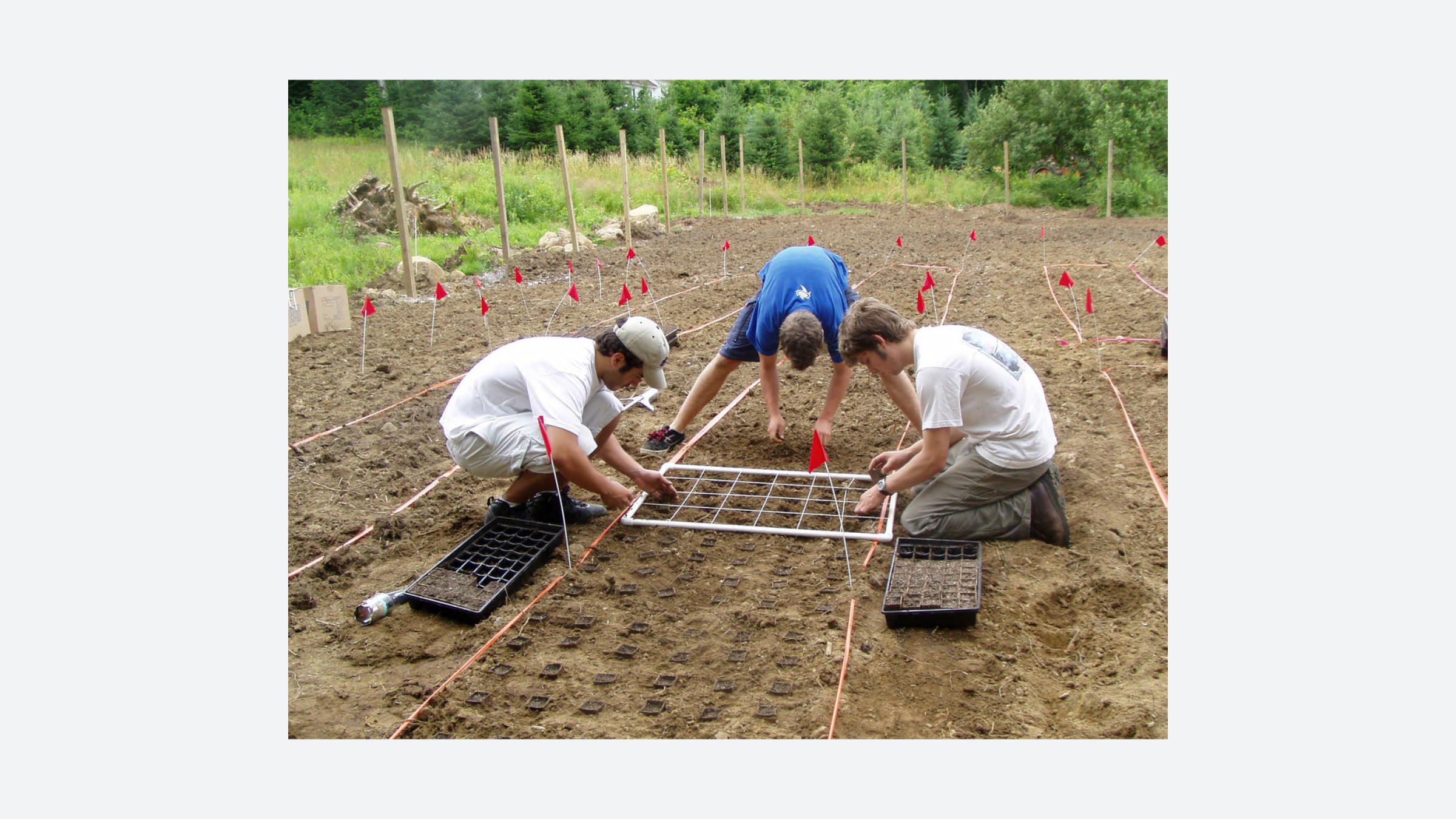 Fig. 14. Hubbard, Jakara. “Students in Experimental Garden.” Harvard Forest at Harvard University. 2003. Hollis Images.