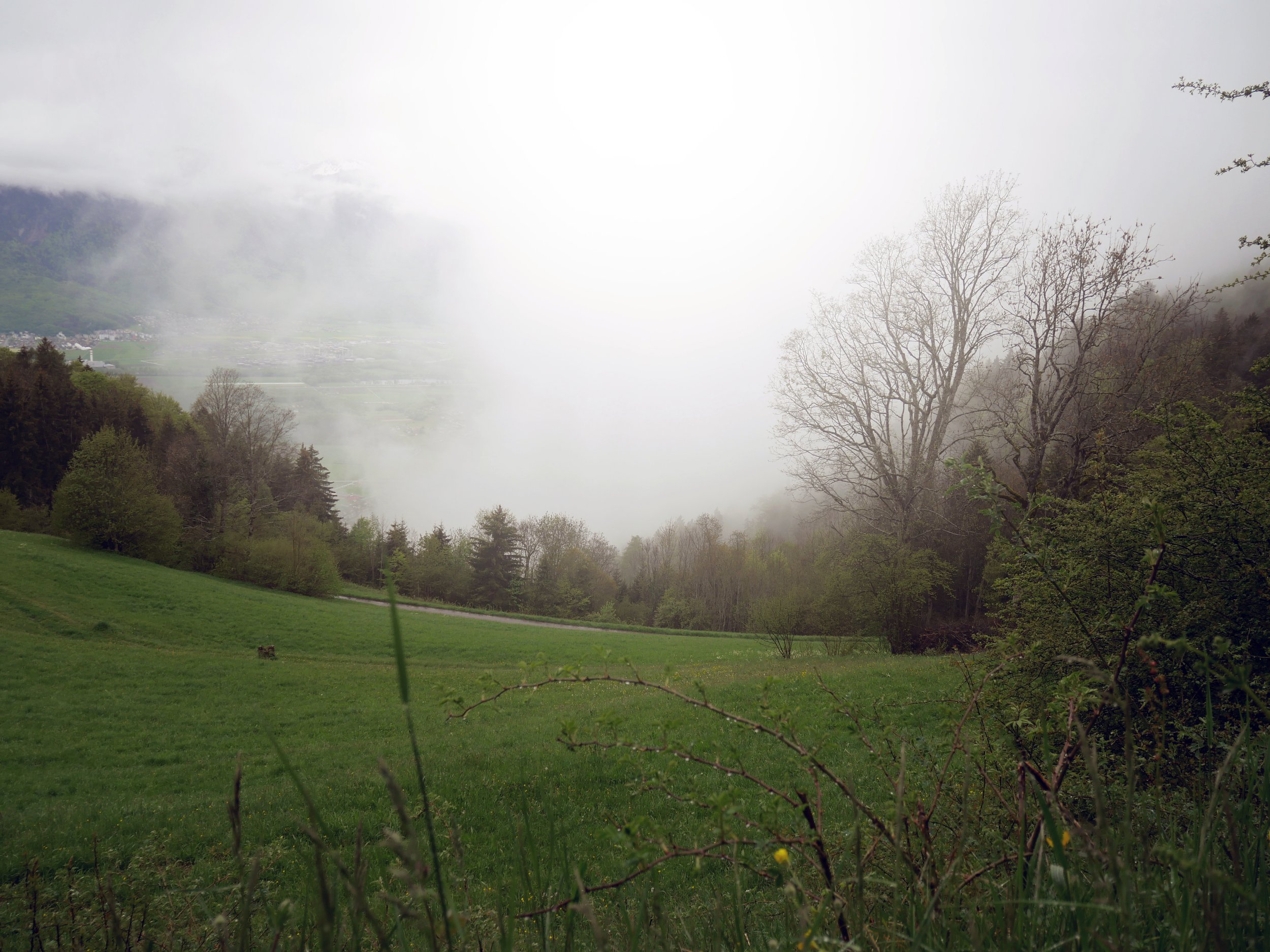 Huémoz, Switzerland, 2021