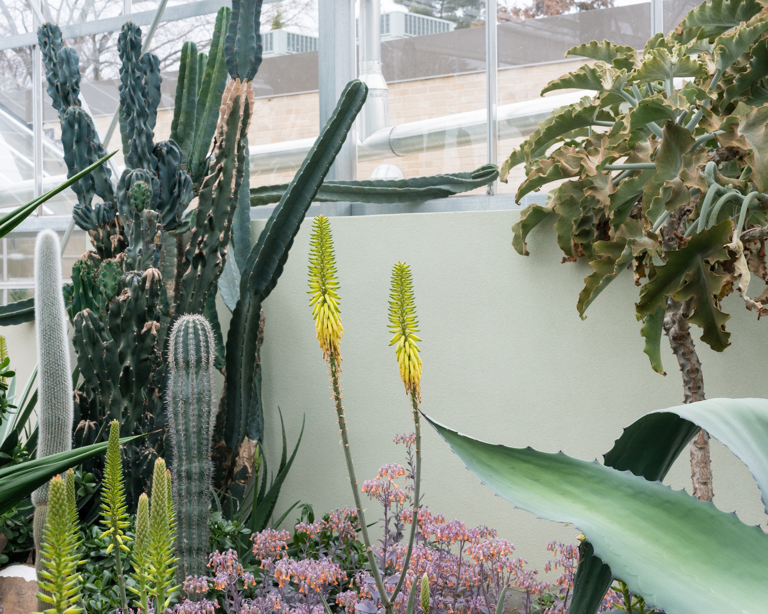 "Desert" 40"x50" archival inkjet print