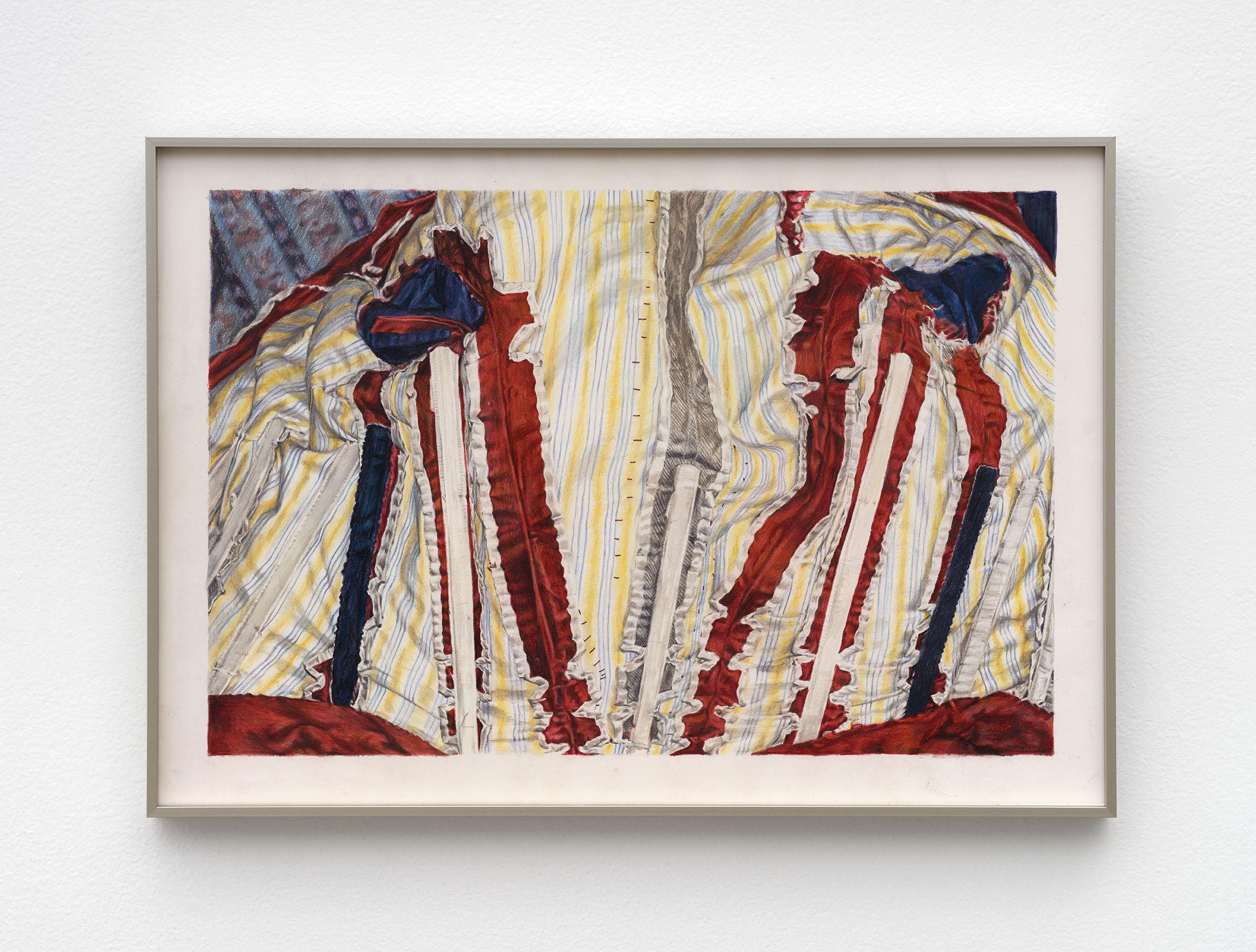 Martina Cox Striped Gut Flora, 2025, Colored pencil, watercolor, and all purpose thread, 14½ (H) x 20½ (W) in. (framed)