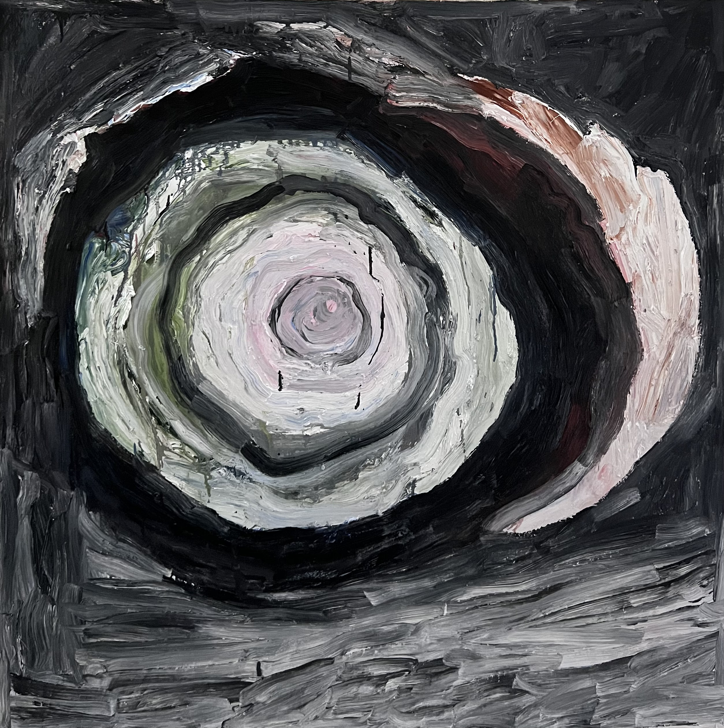 Dark Camellia, 2022, Oil on Canvas, 48"x48" in